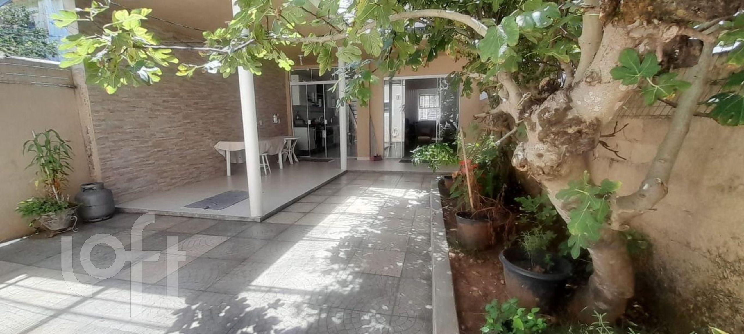 Imagem da propriedade 20