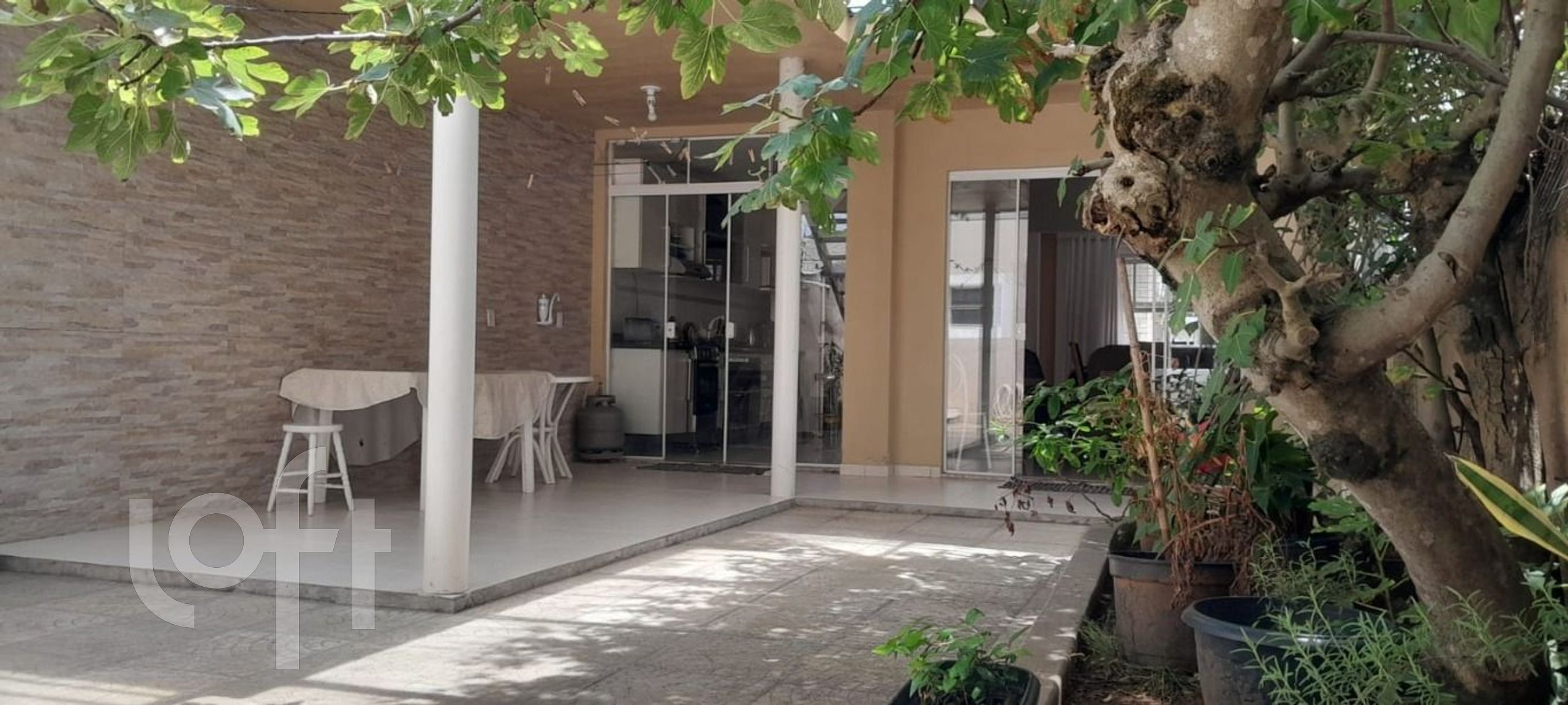 Imagem da propriedade 21