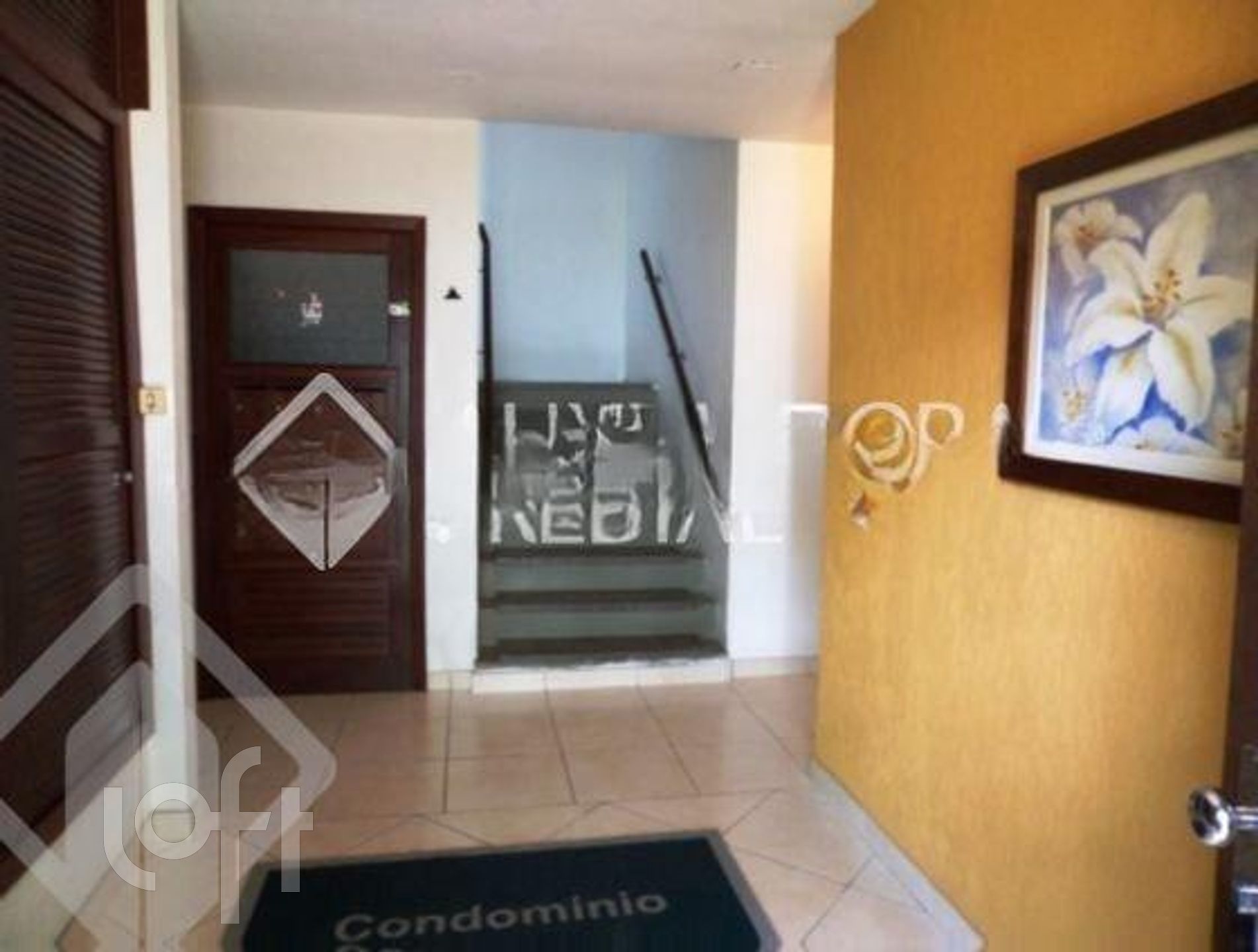 Imagem da propriedade 10