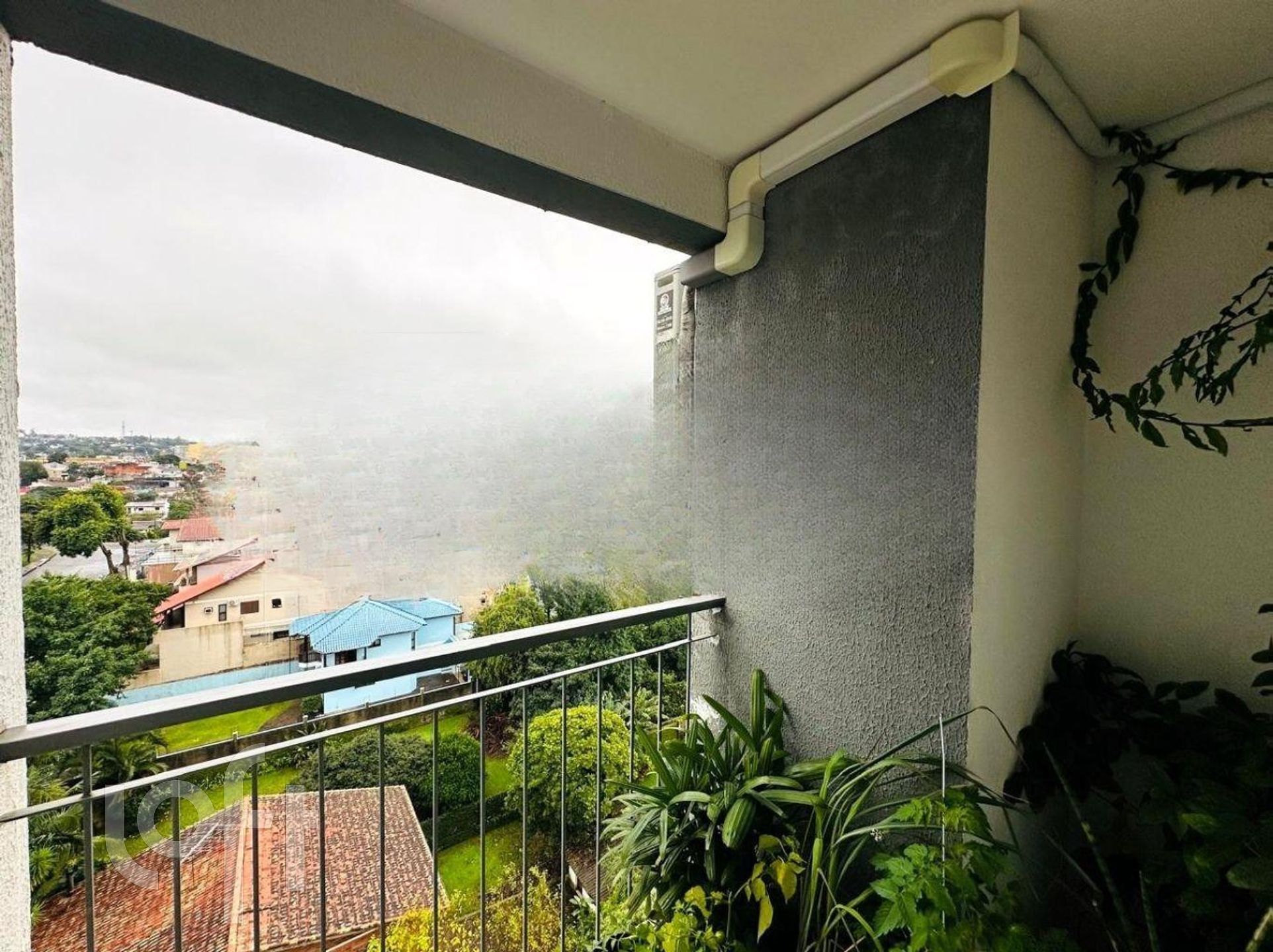 Imagem da propriedade 12