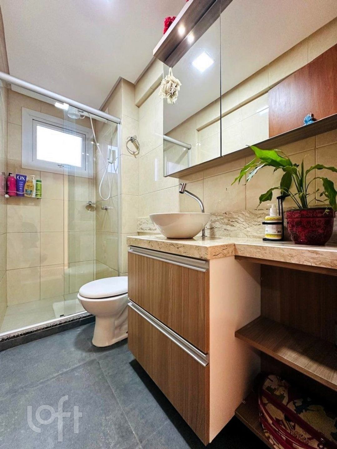 Imagem da propriedade 11