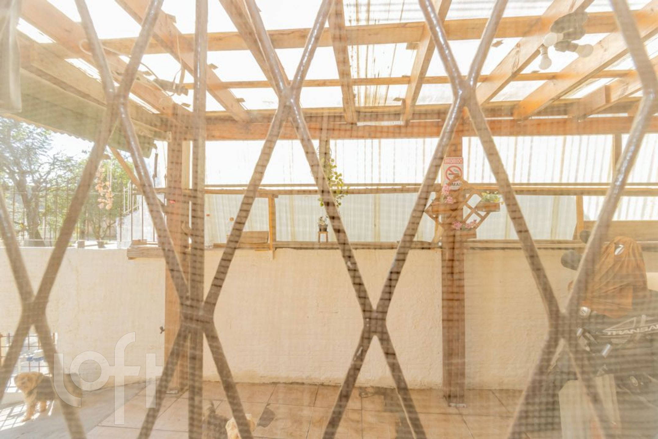 Imagem da propriedade 11