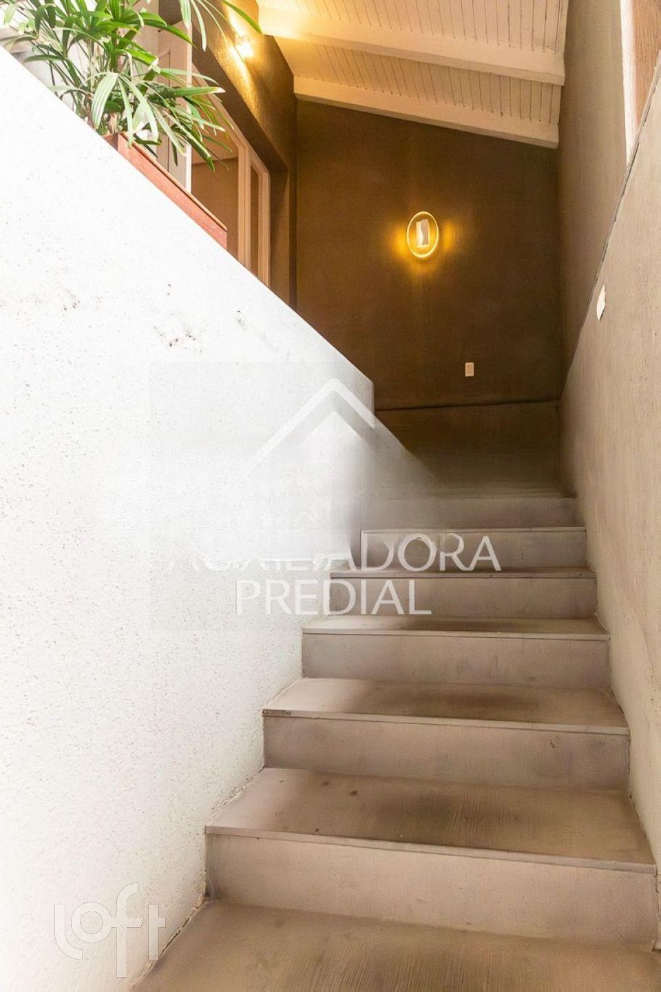 Imagem da propriedade 9