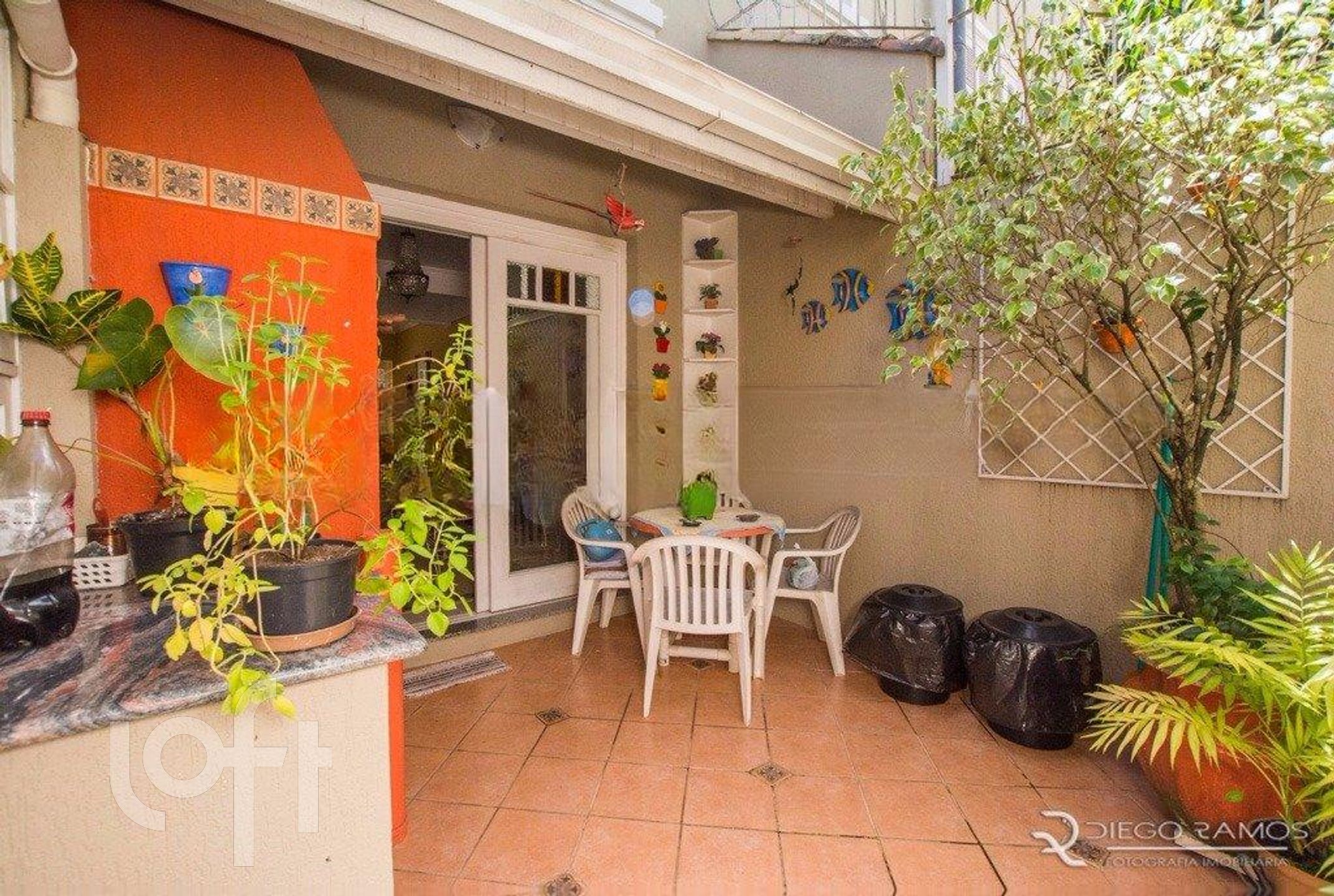 Imagem da propriedade 3