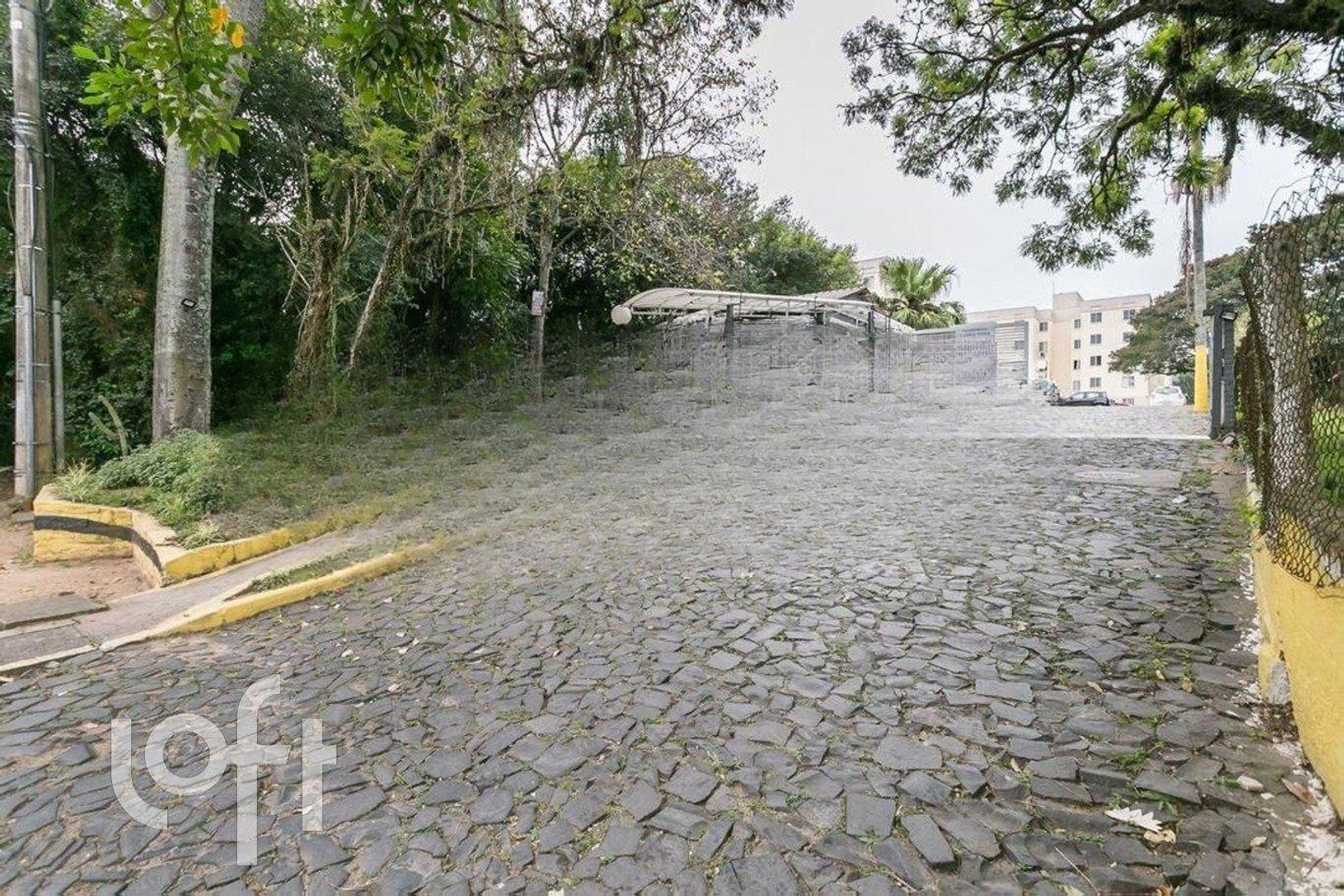 Imagem da propriedade 27