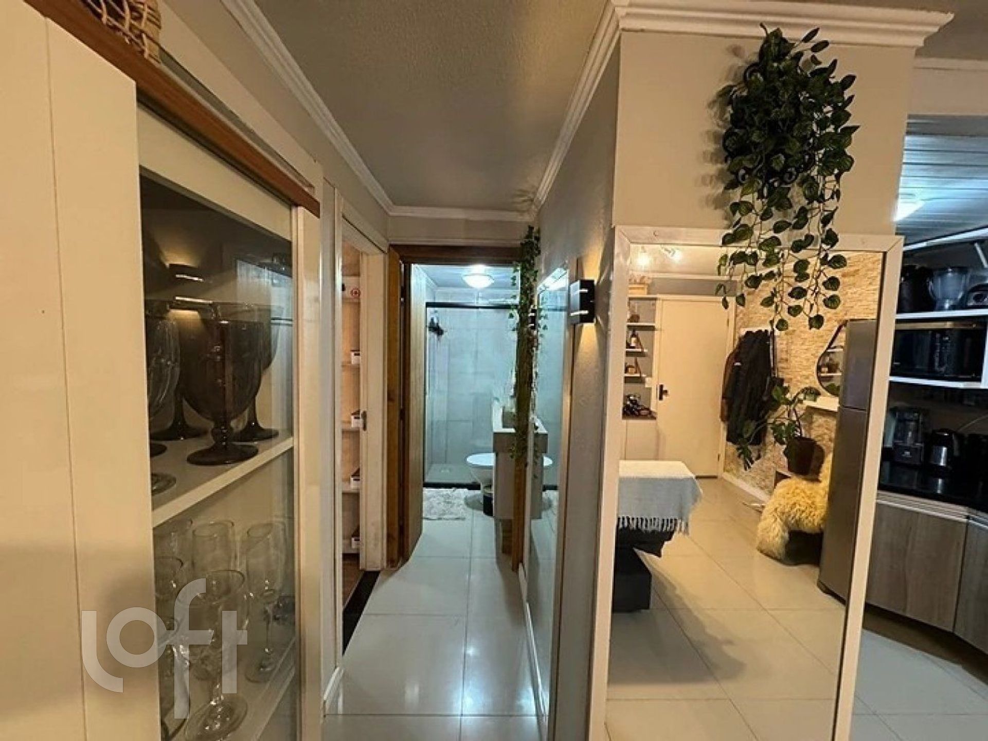 Imagem da propriedade 15