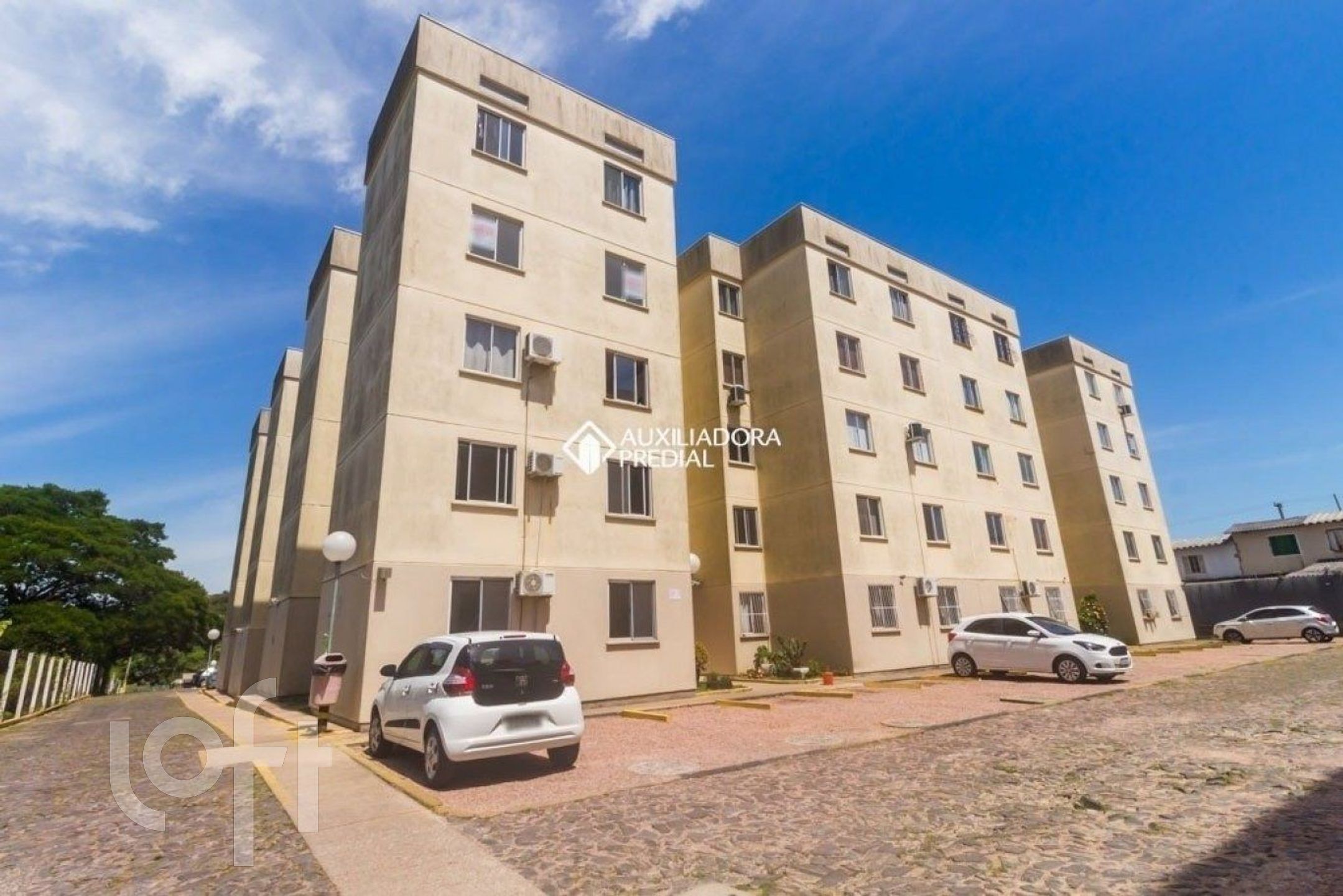 Imagem da propriedade 26