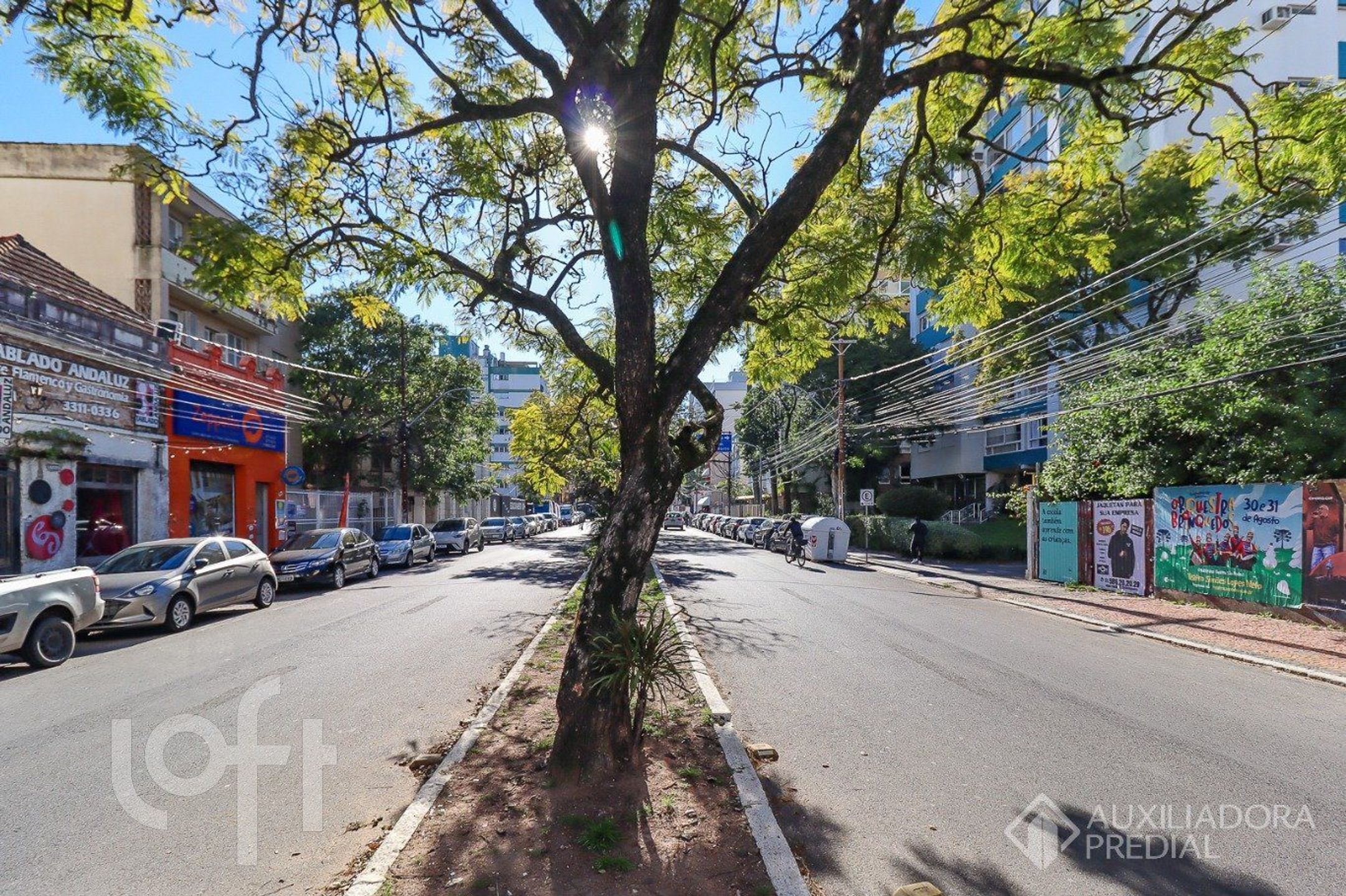 Imagem da propriedade 23