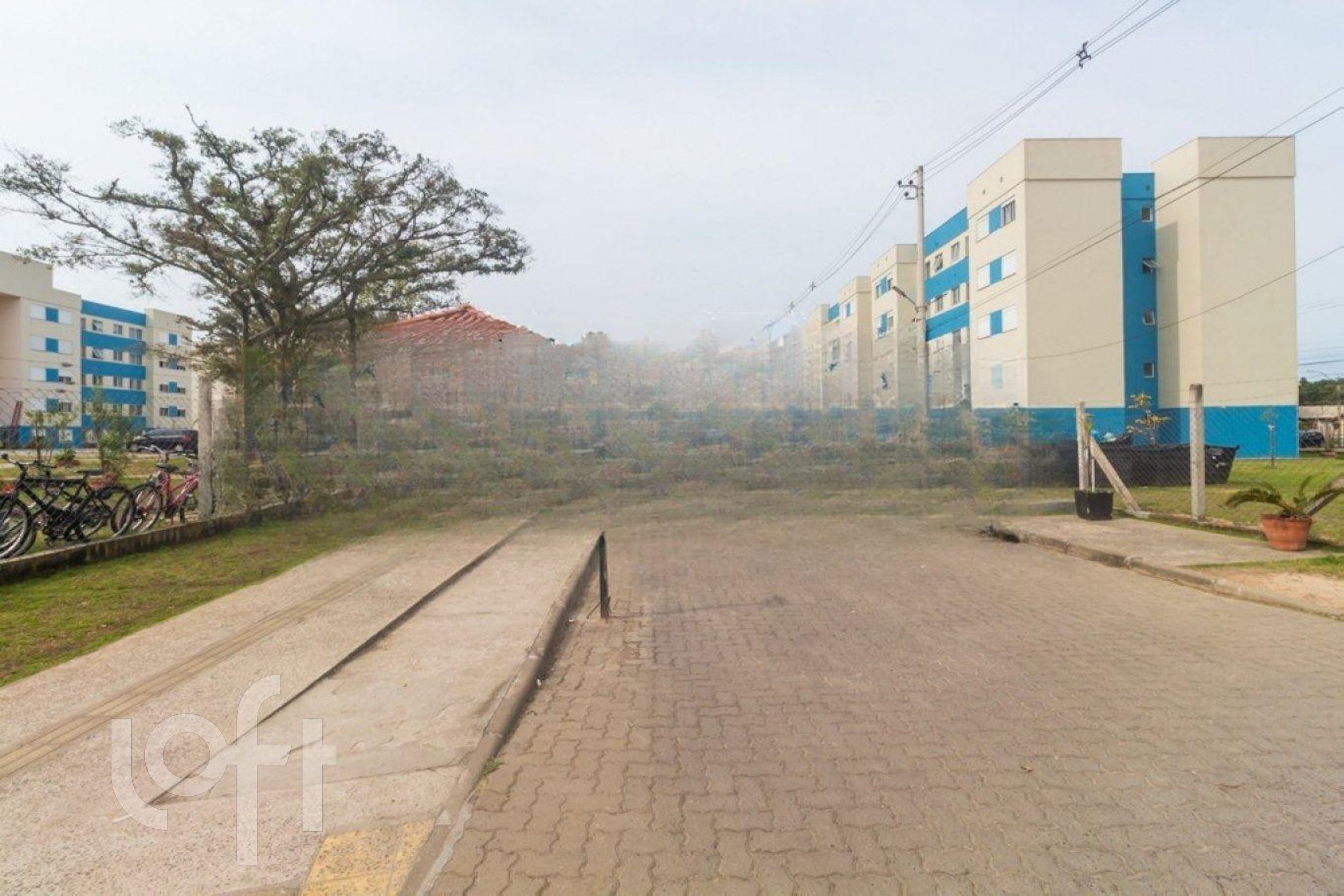 Imagem da propriedade 29