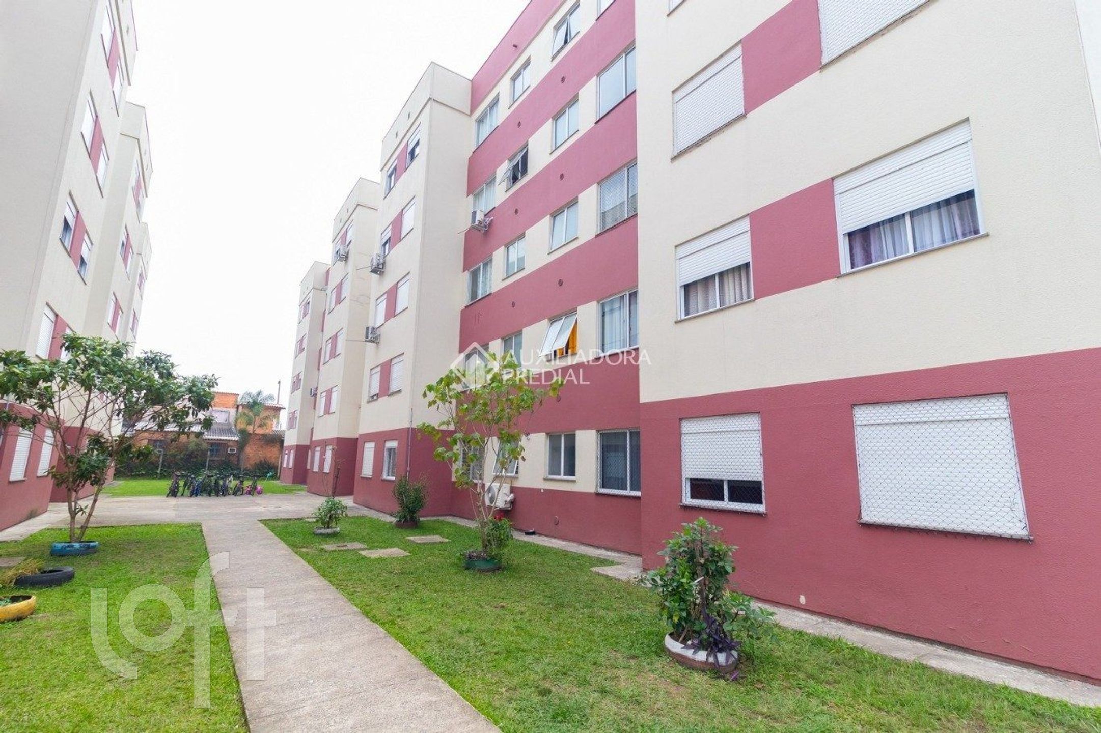 Imagem da propriedade 32