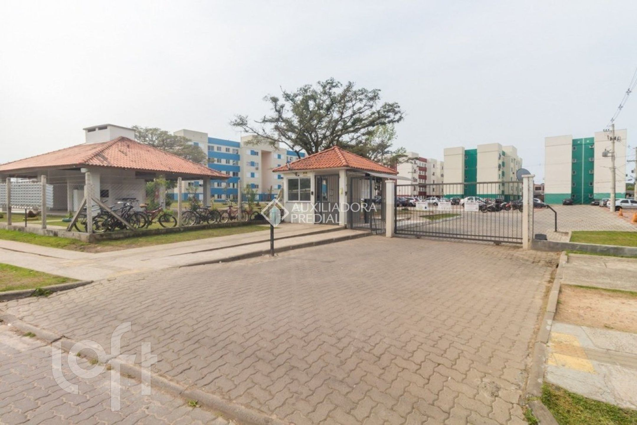 Imagem da propriedade 30