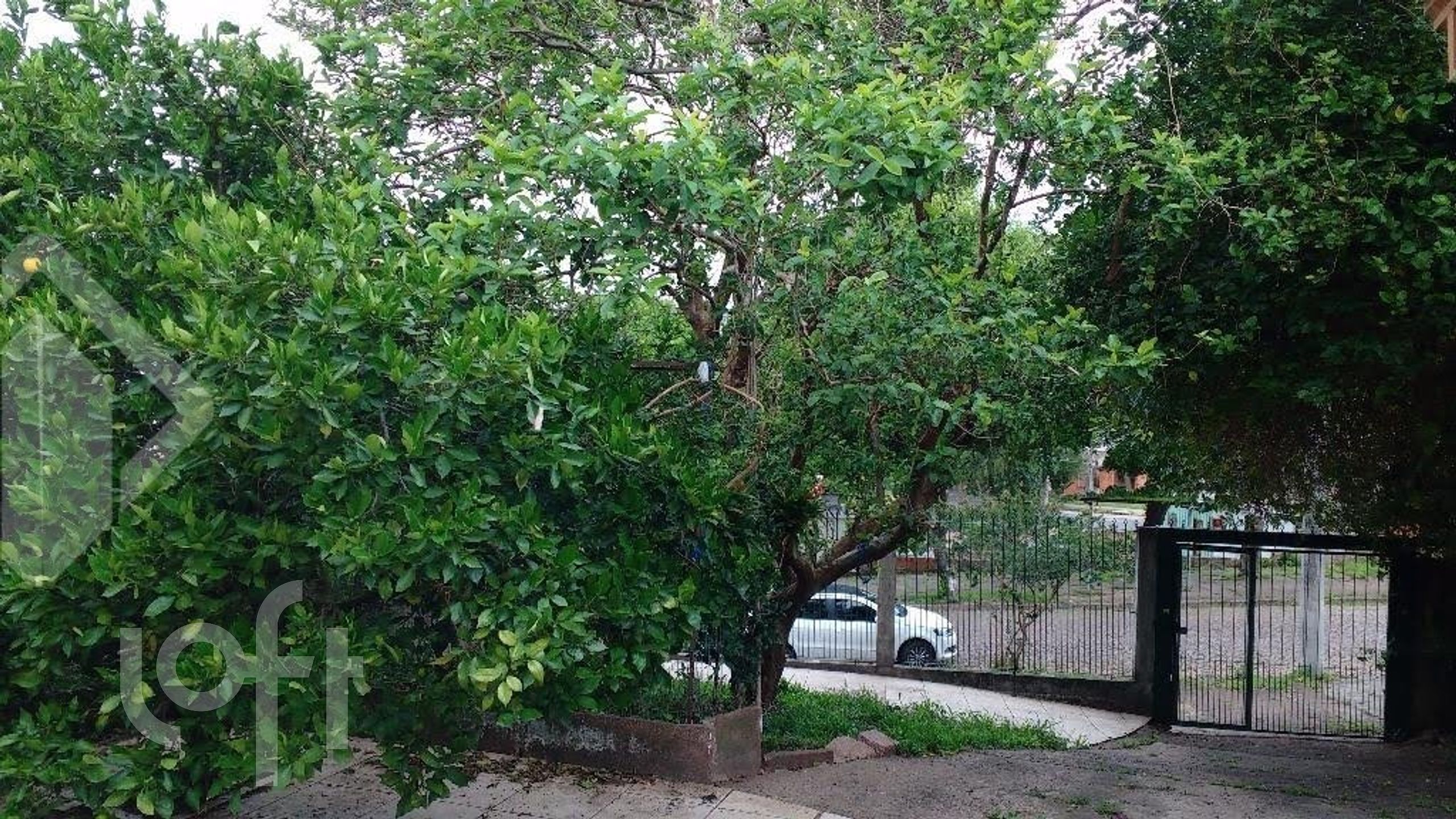 Imagem da propriedade 13