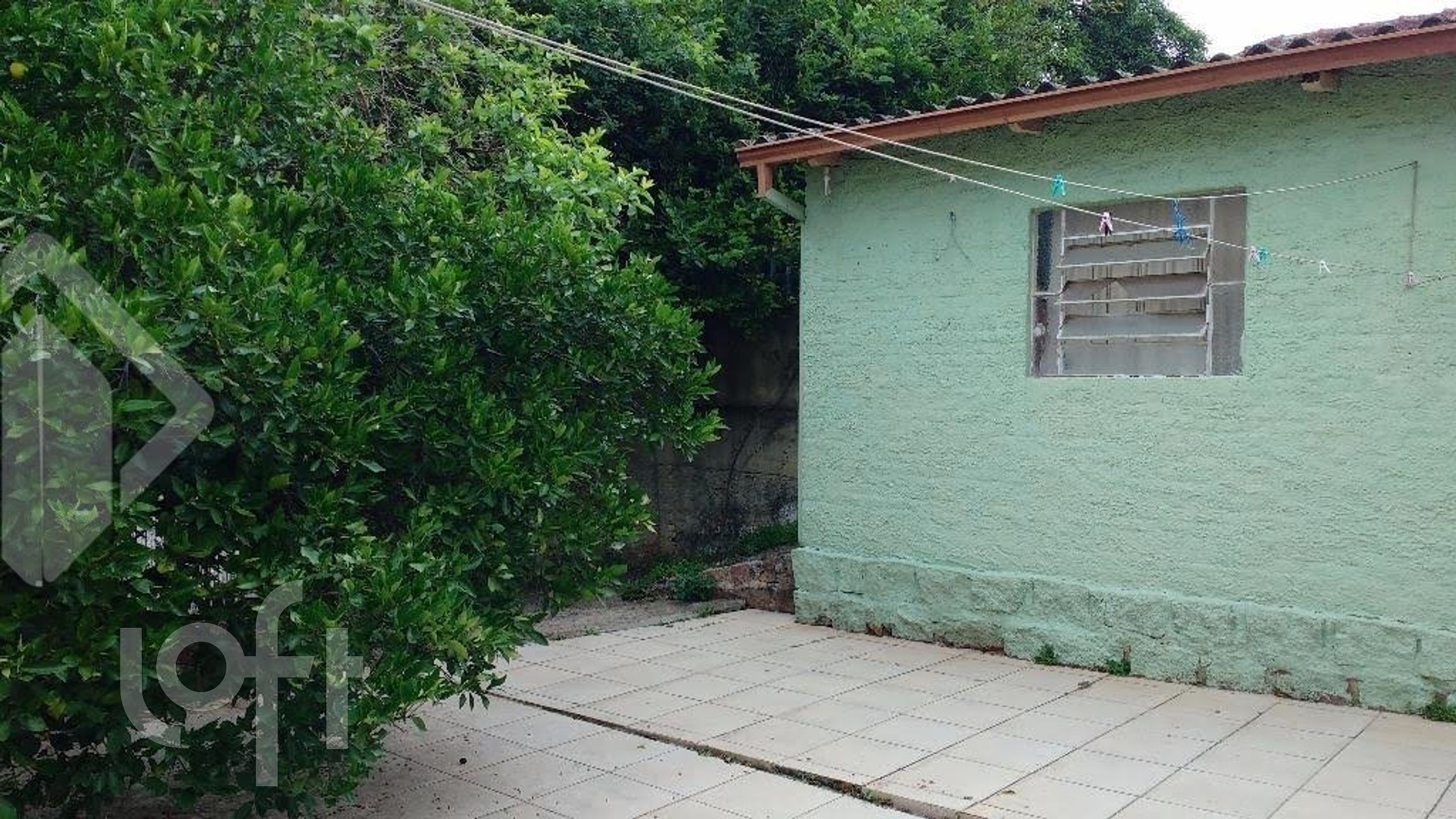 Imagem da propriedade 10