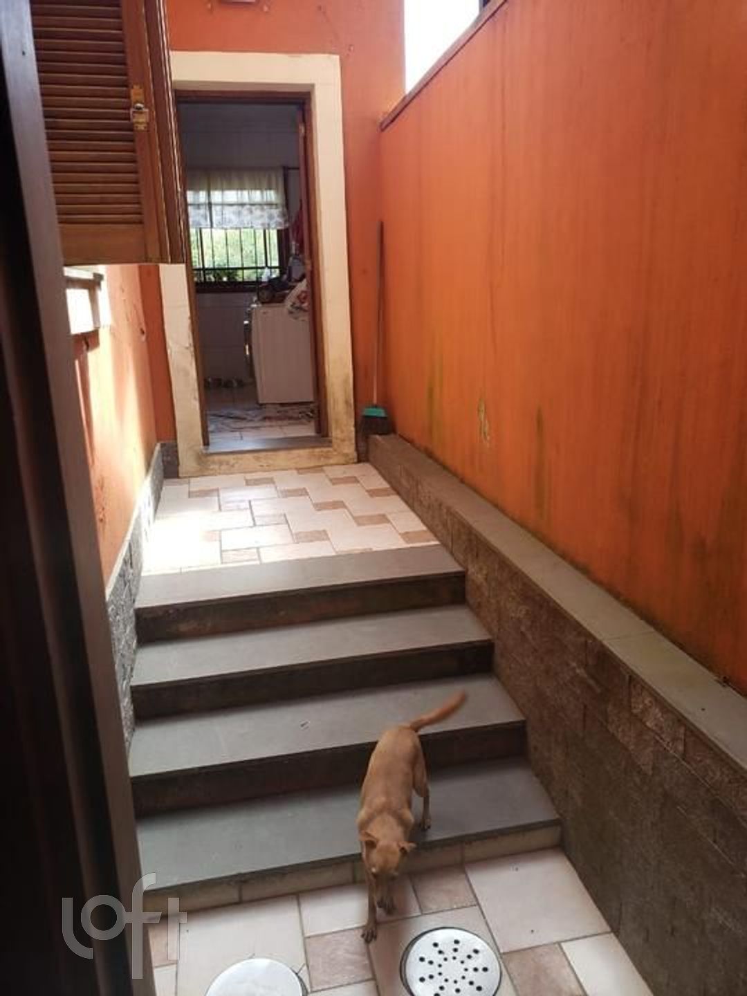 Imagem da propriedade 18