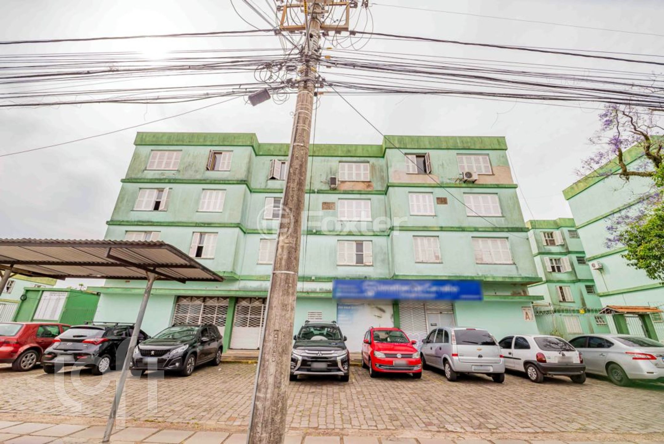 Imagem da propriedade 3