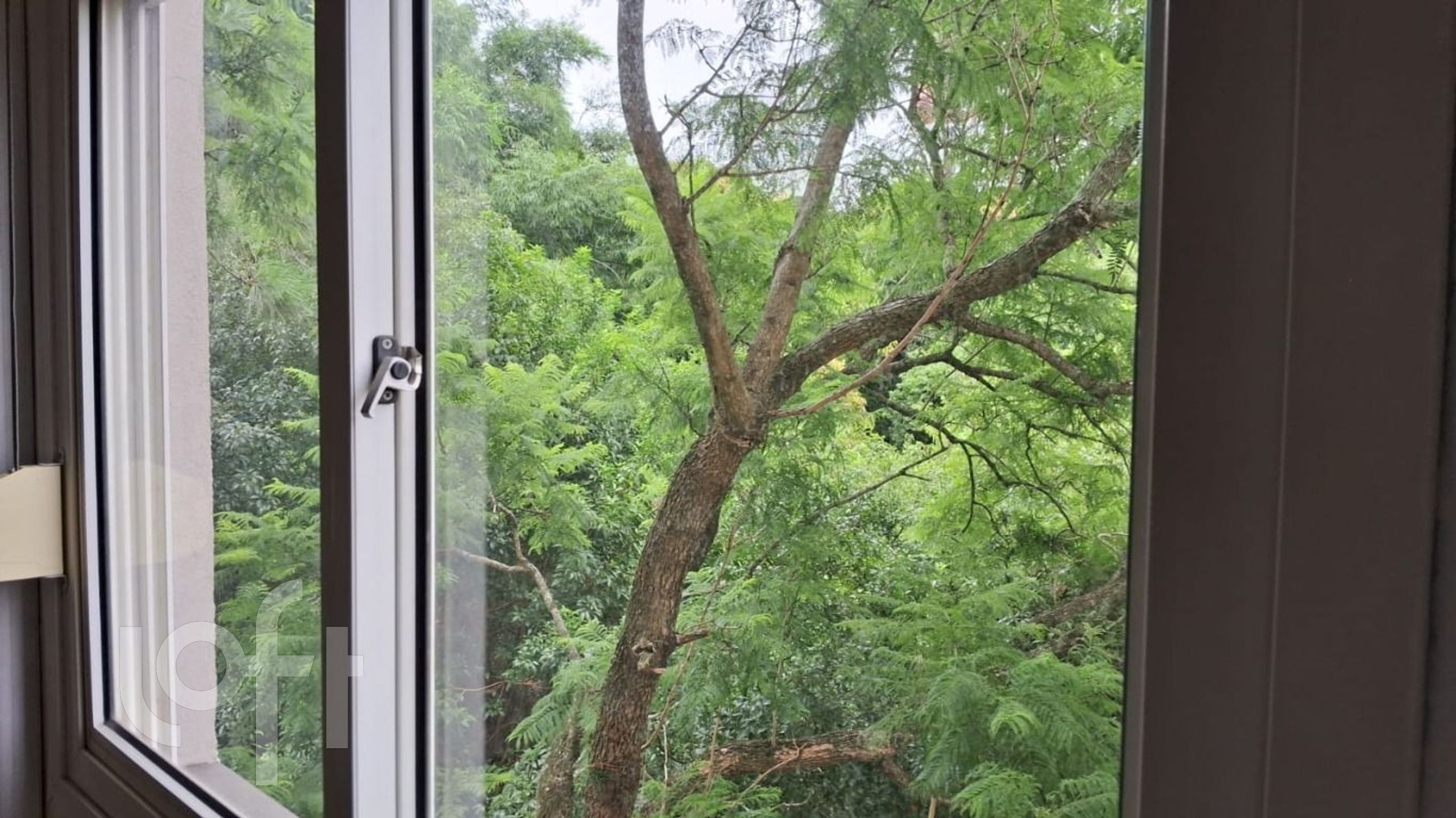 Imagem da propriedade 24