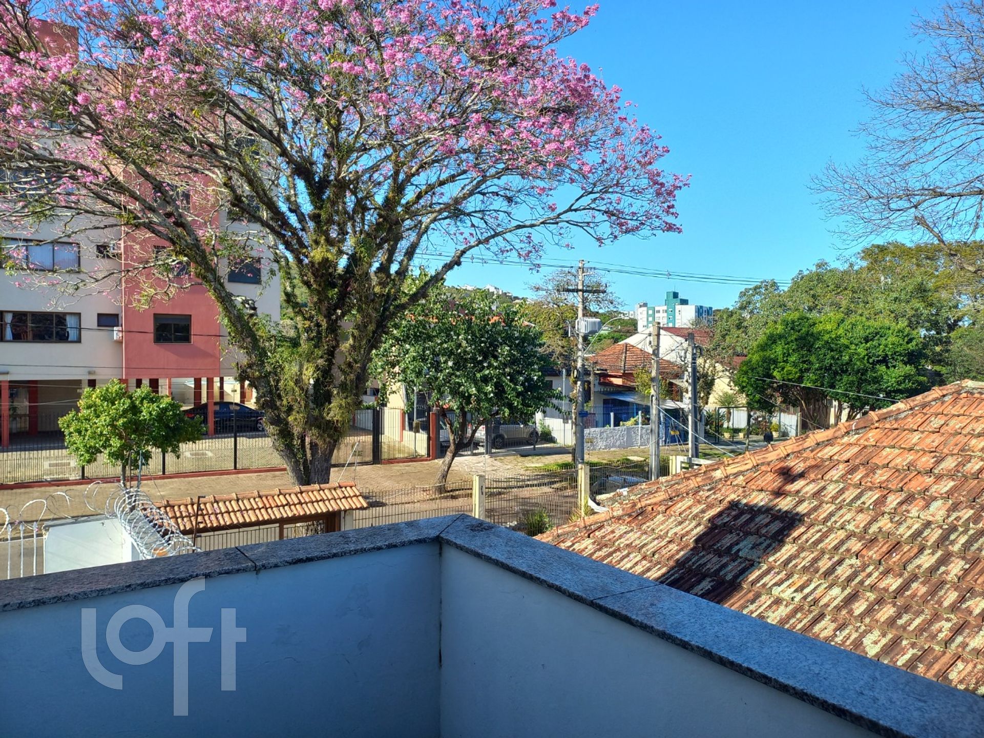 Imagem da propriedade 24