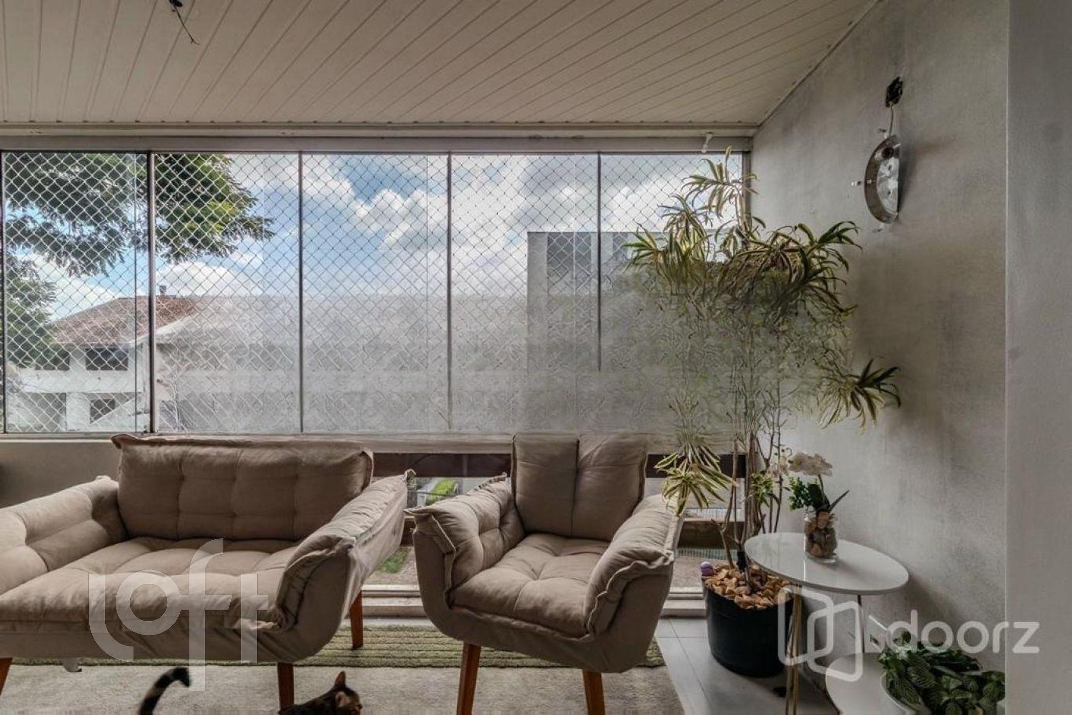 Imagem da propriedade 7