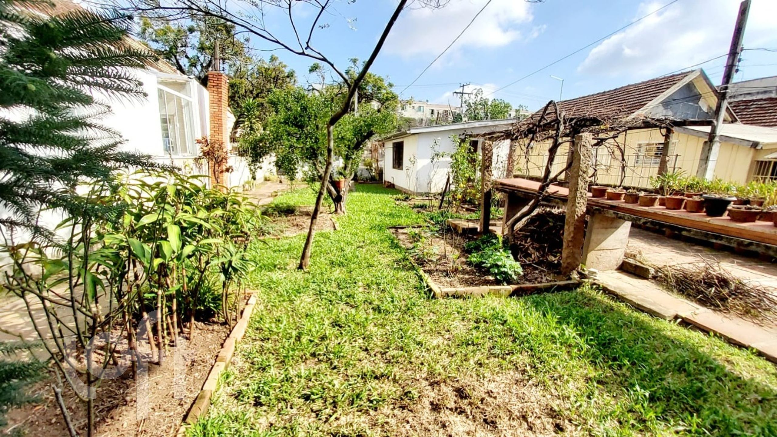 Imagem da propriedade 3