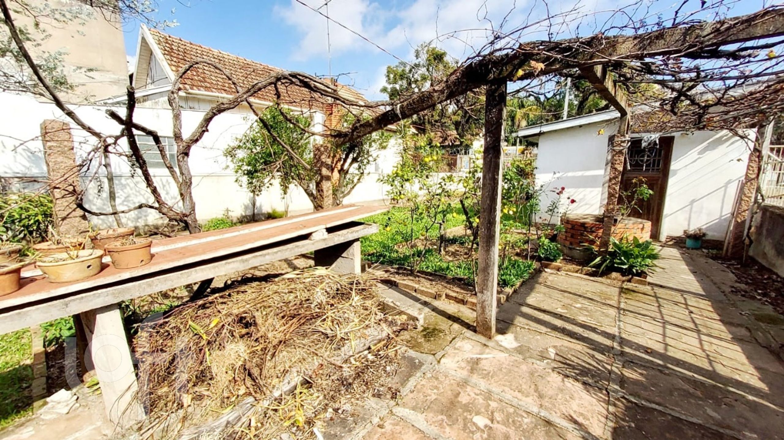 Imagem da propriedade 4