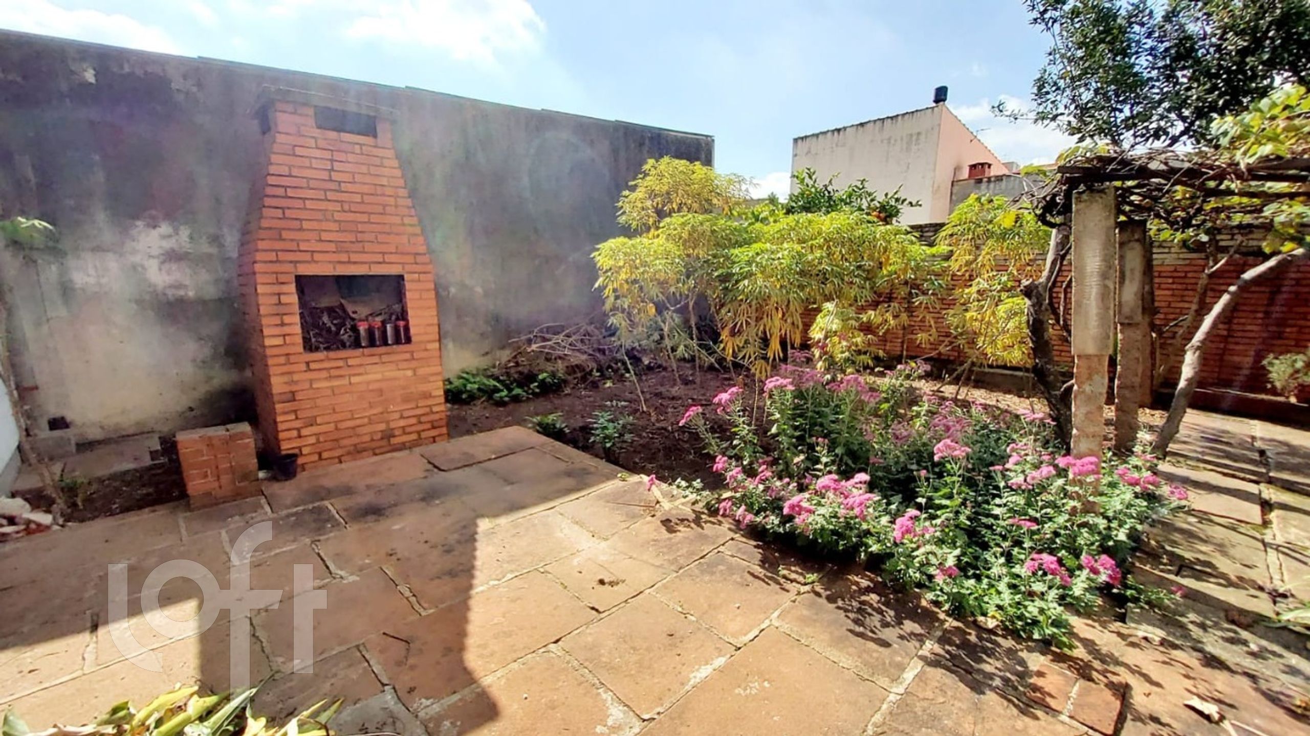 Imagem da propriedade 27