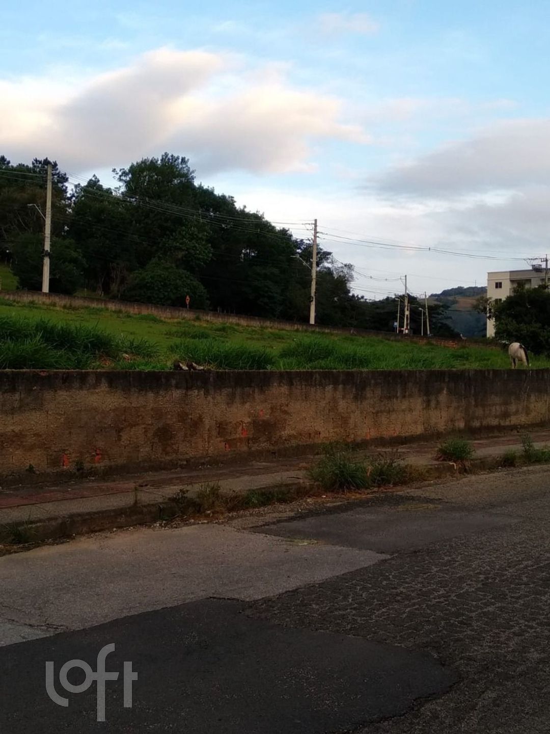 Imagem da propriedade 24