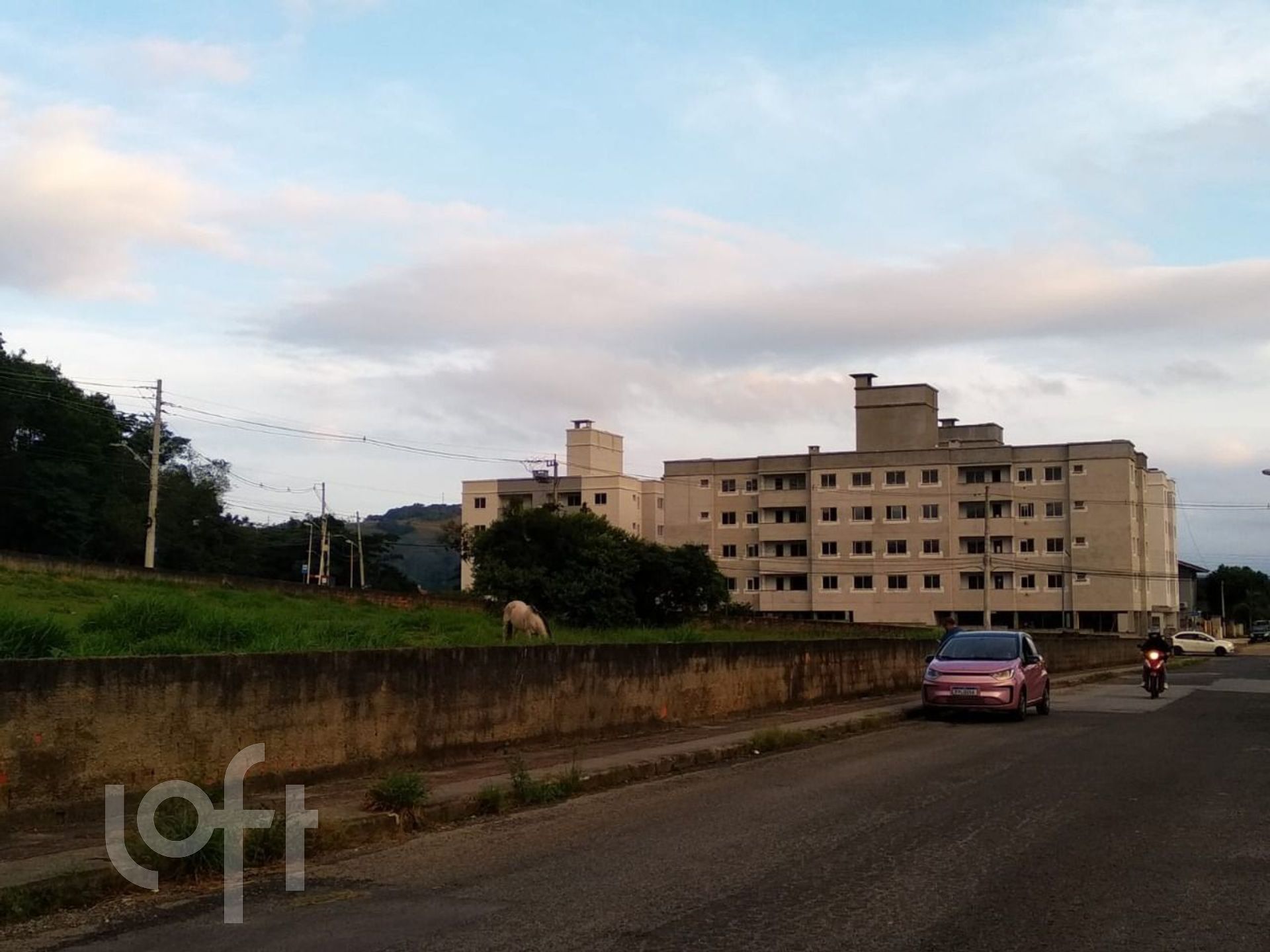 Imagem da propriedade 7