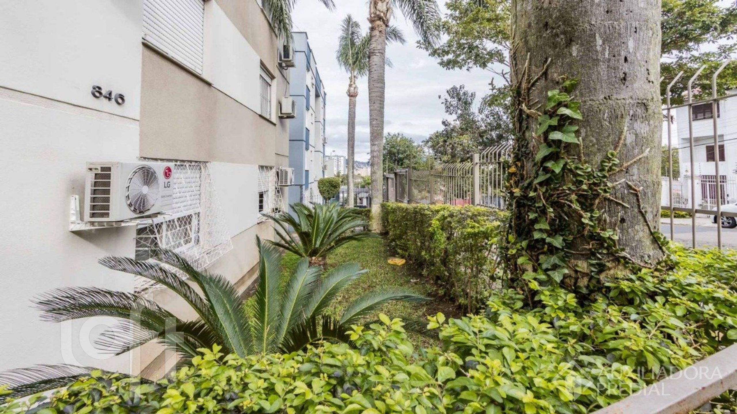 Imagem da propriedade 5