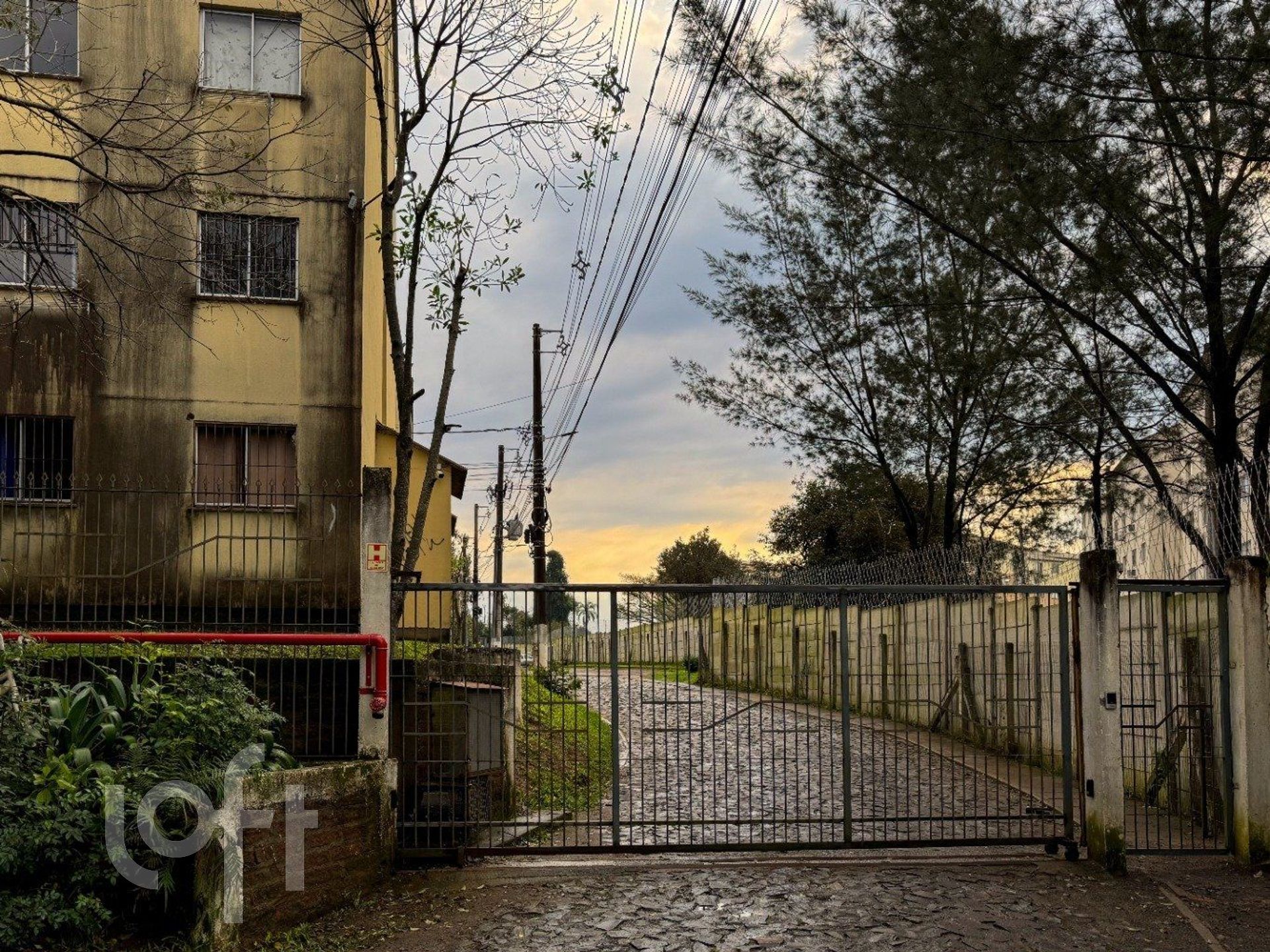 Imagem da propriedade 14