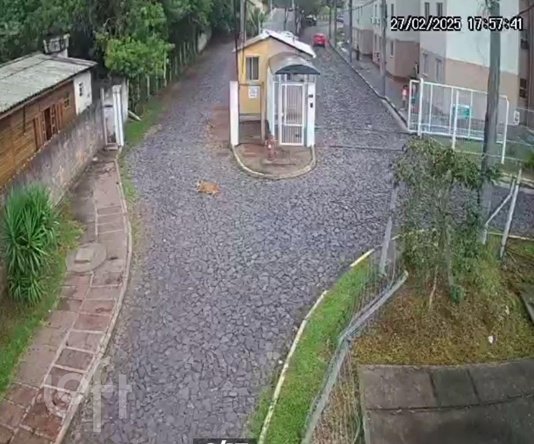 Imagem da propriedade 12