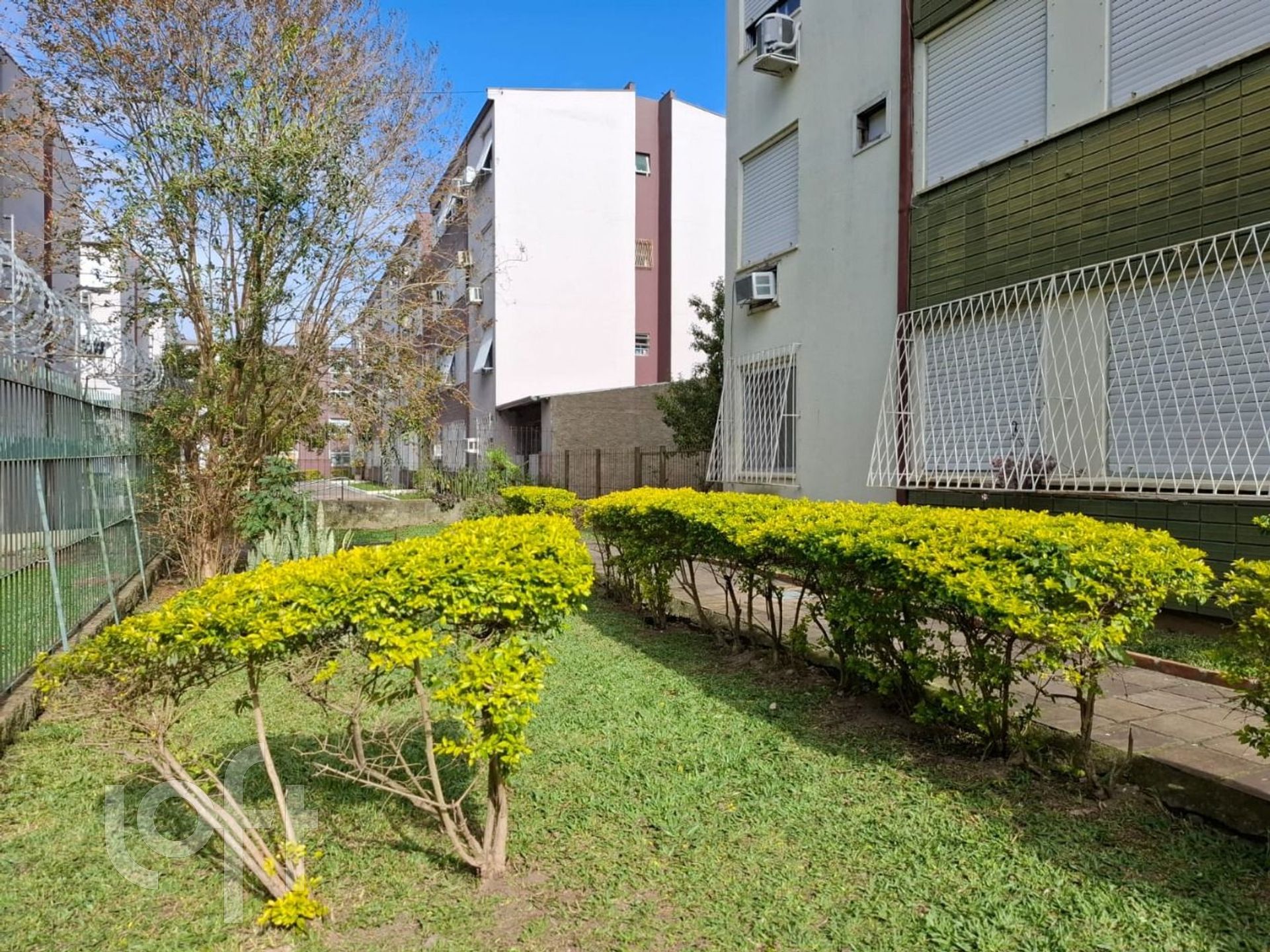 Imagem da propriedade 18