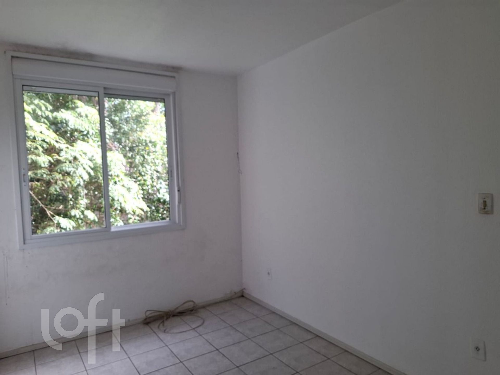 Imagem da propriedade 3