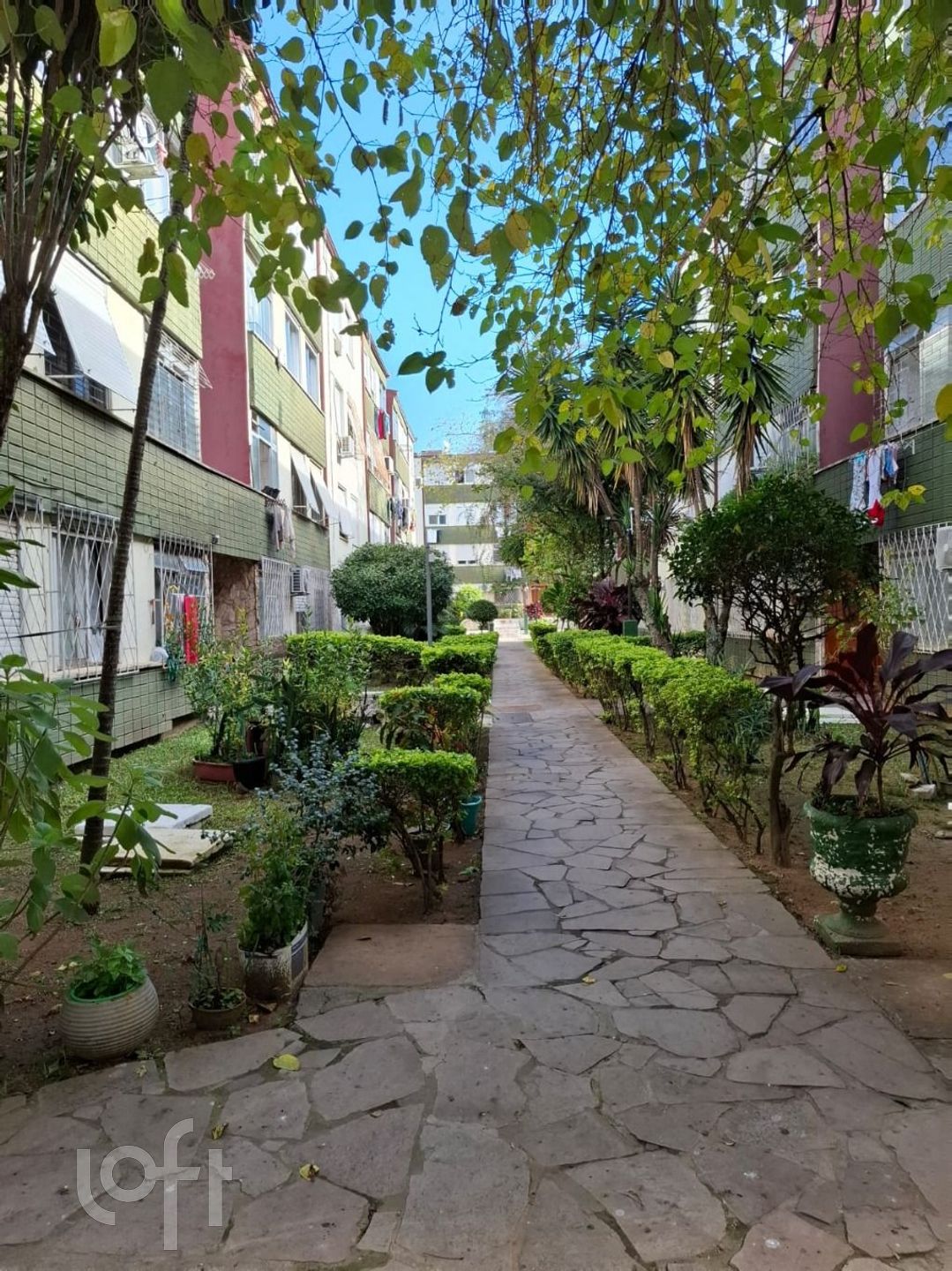 Imagem da propriedade 13