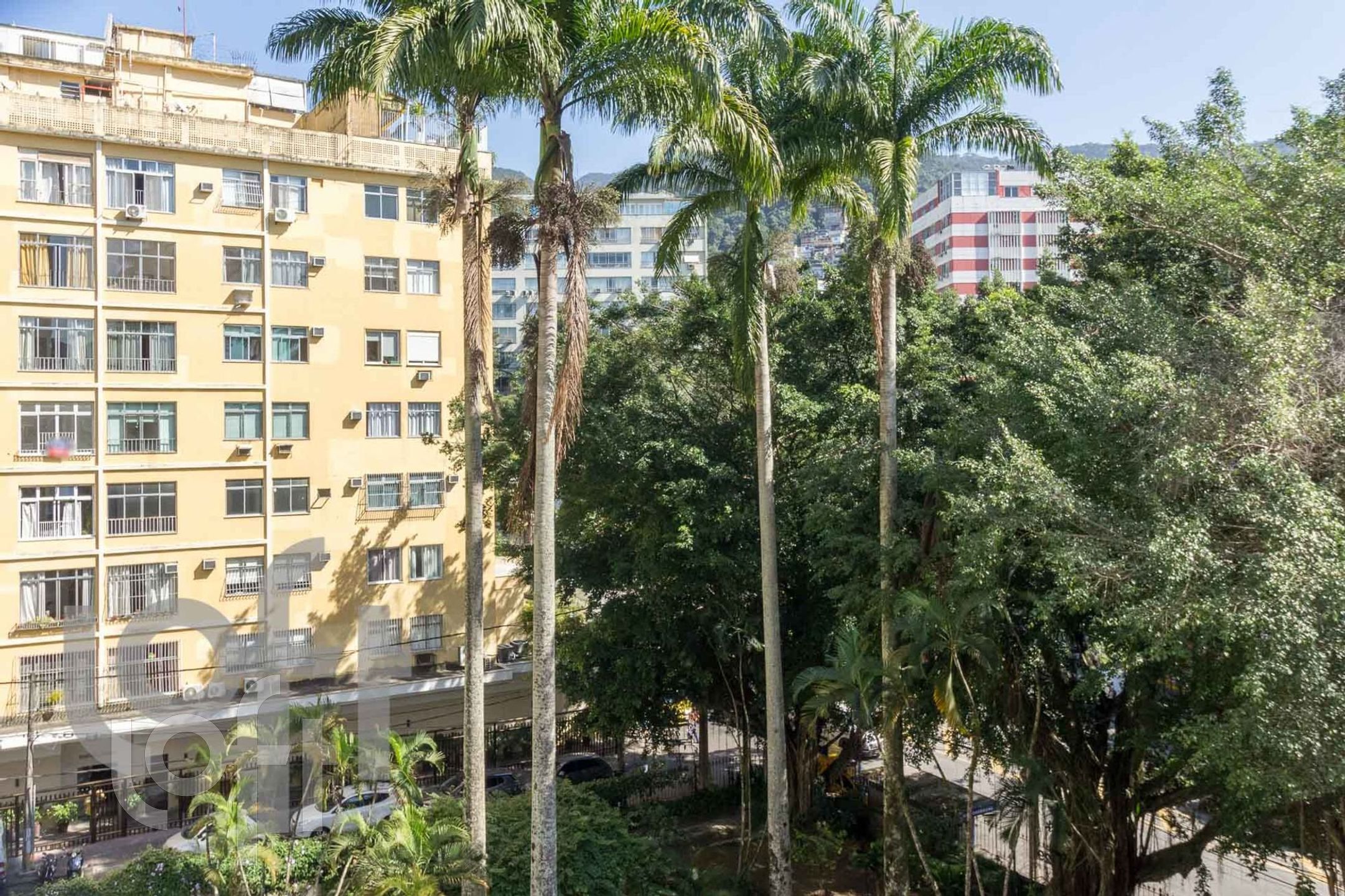 Imagem da propriedade 11
