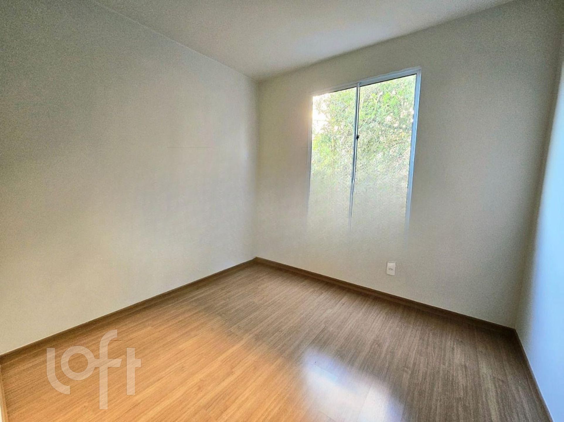 Imagem da propriedade 11