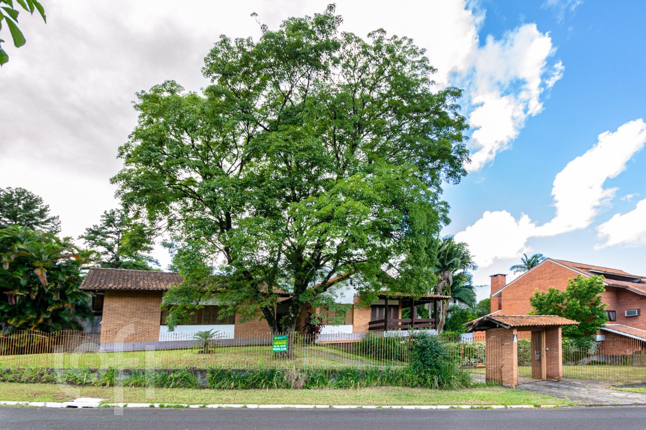 Imagem da propriedade 34