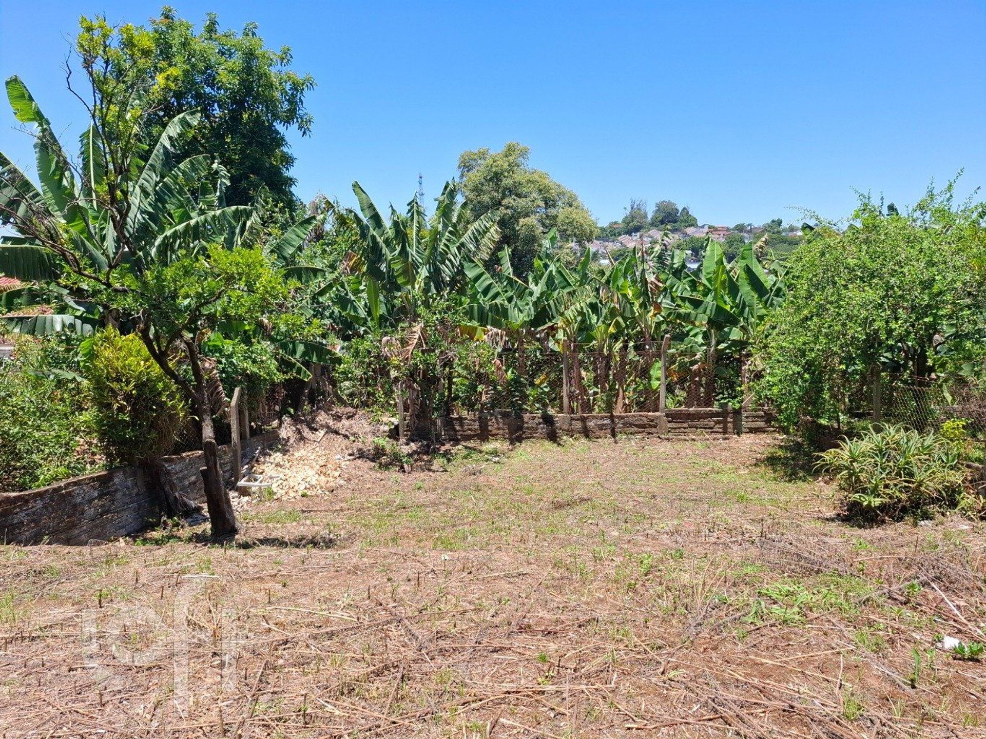 Imagem da propriedade 4