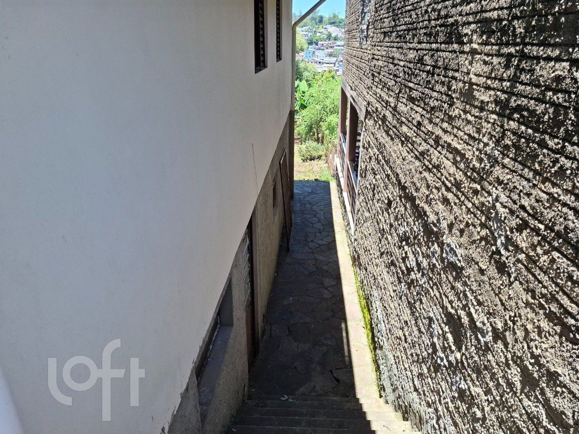 Imagem da propriedade 24