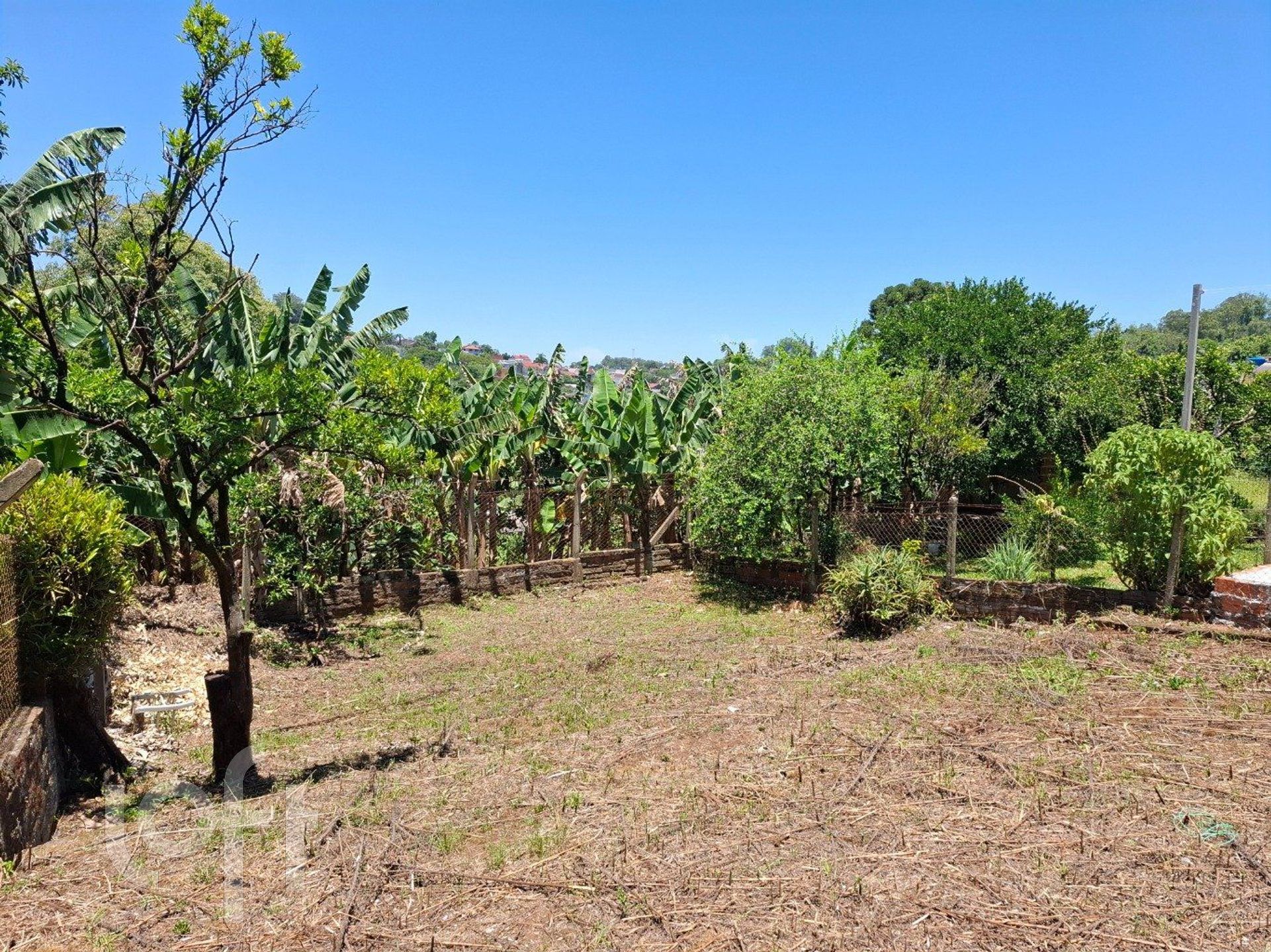 Imagem da propriedade 3