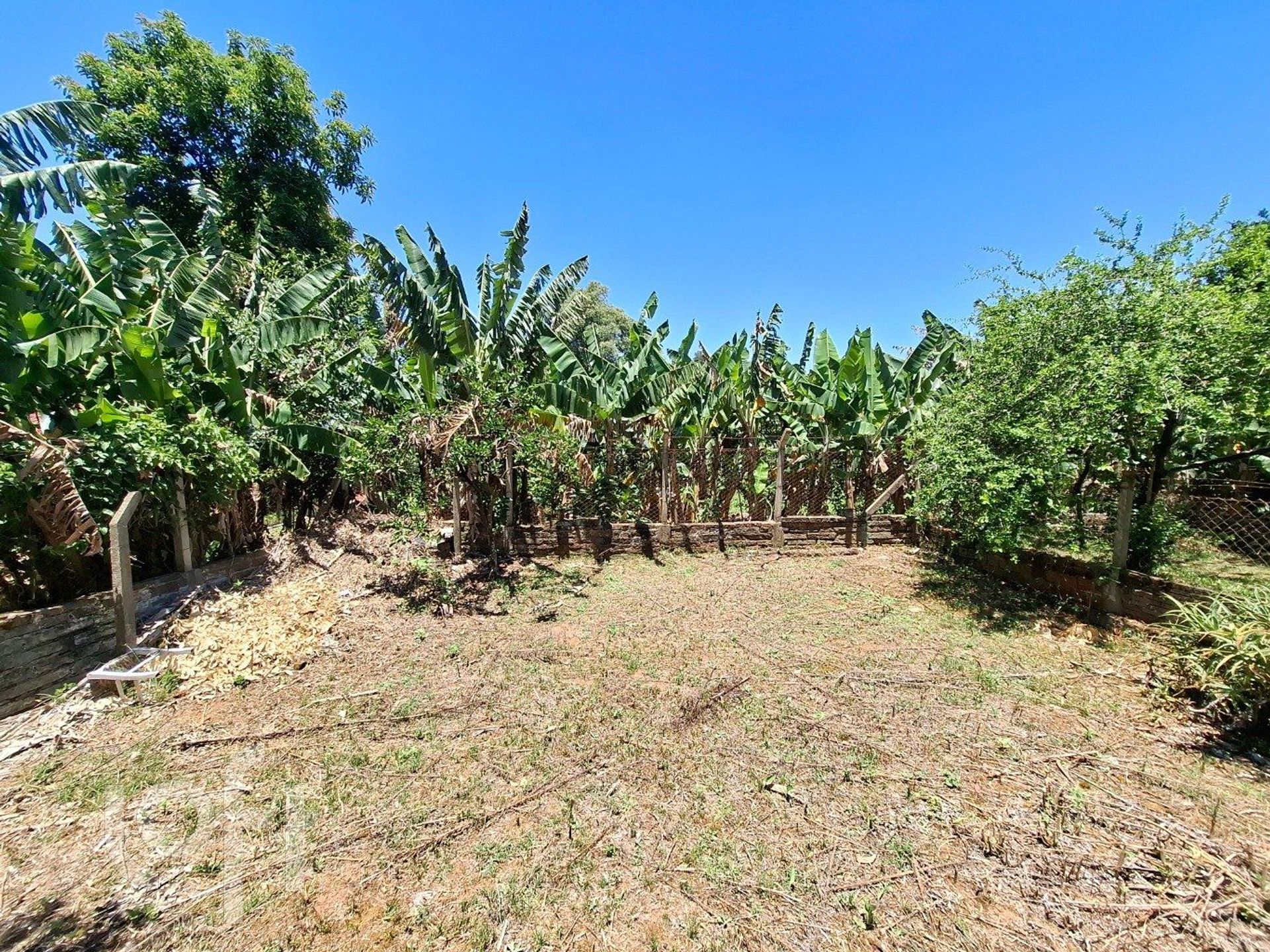 Imagem da propriedade 46