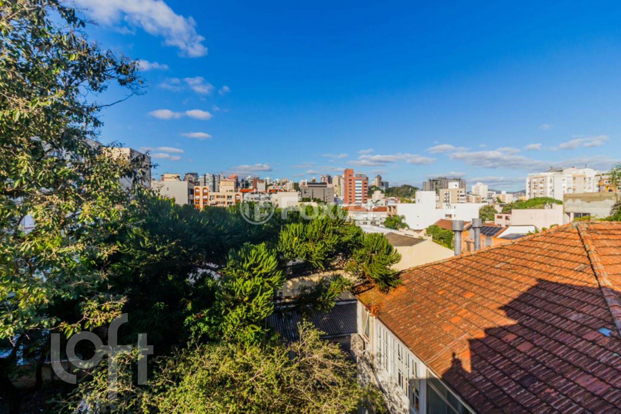 Imagem da propriedade 8