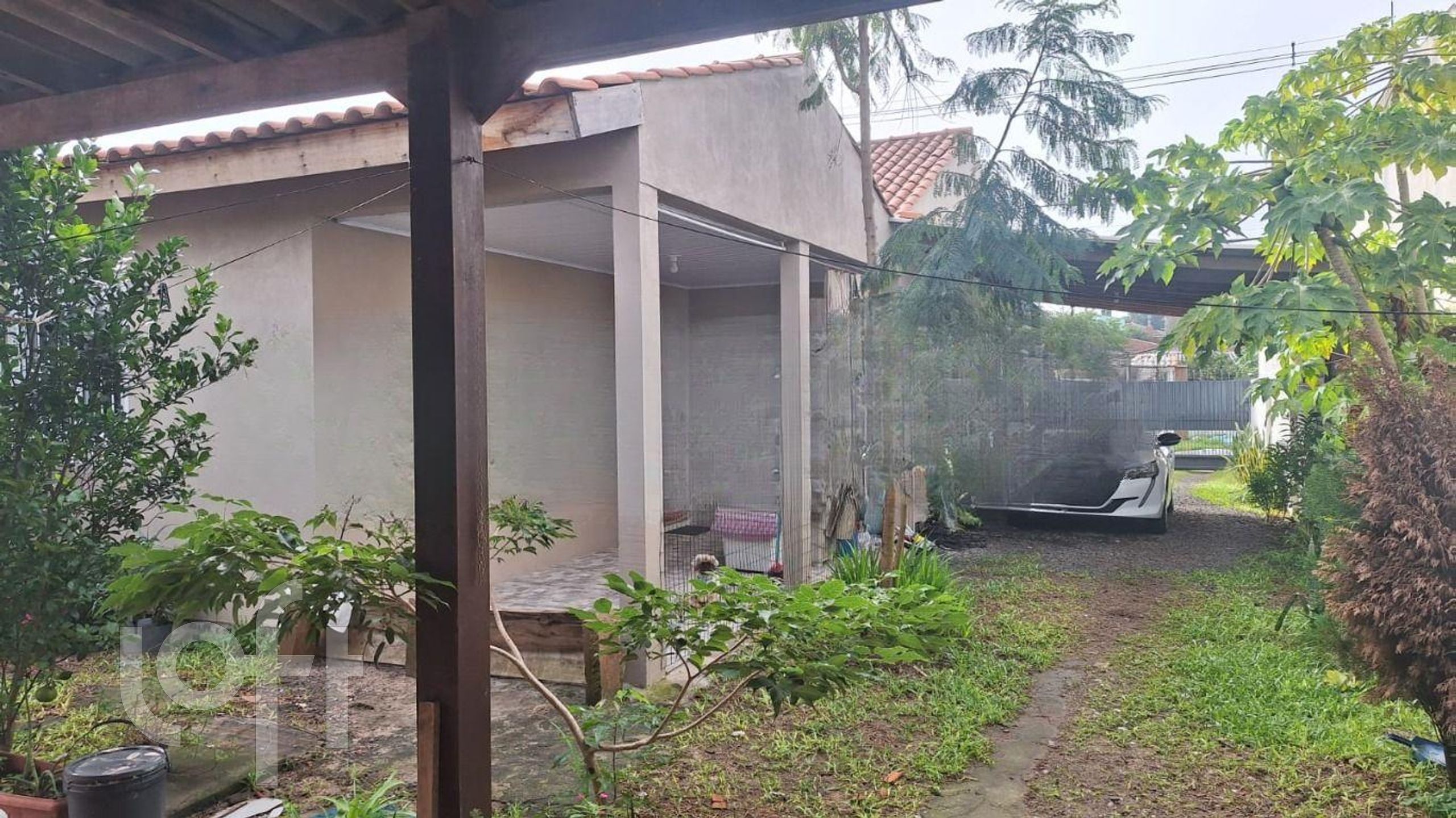 Imagem da propriedade 21