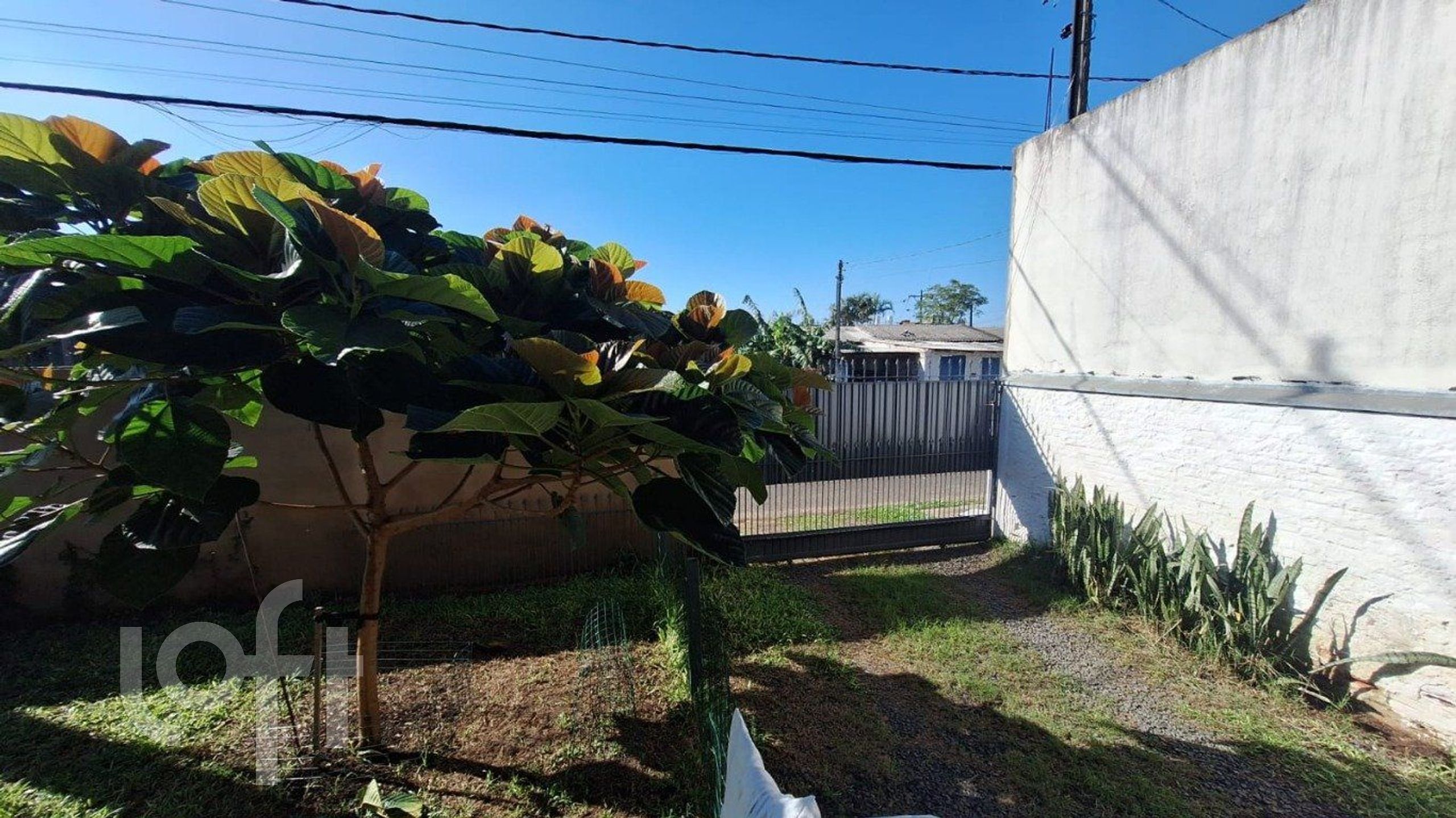 Imagem da propriedade 22