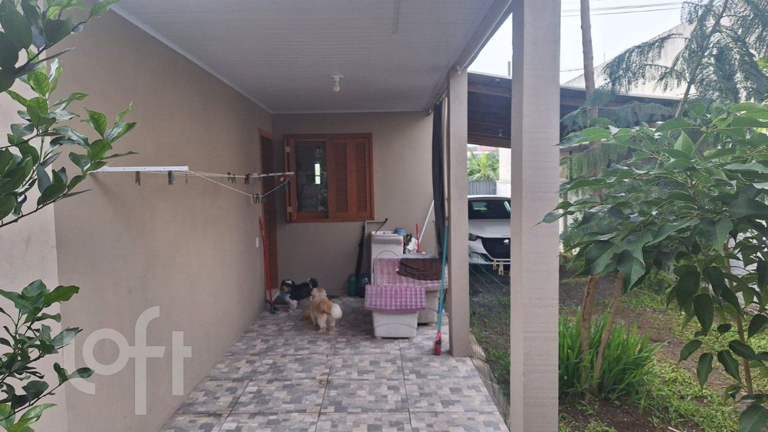 Imagem da propriedade 18