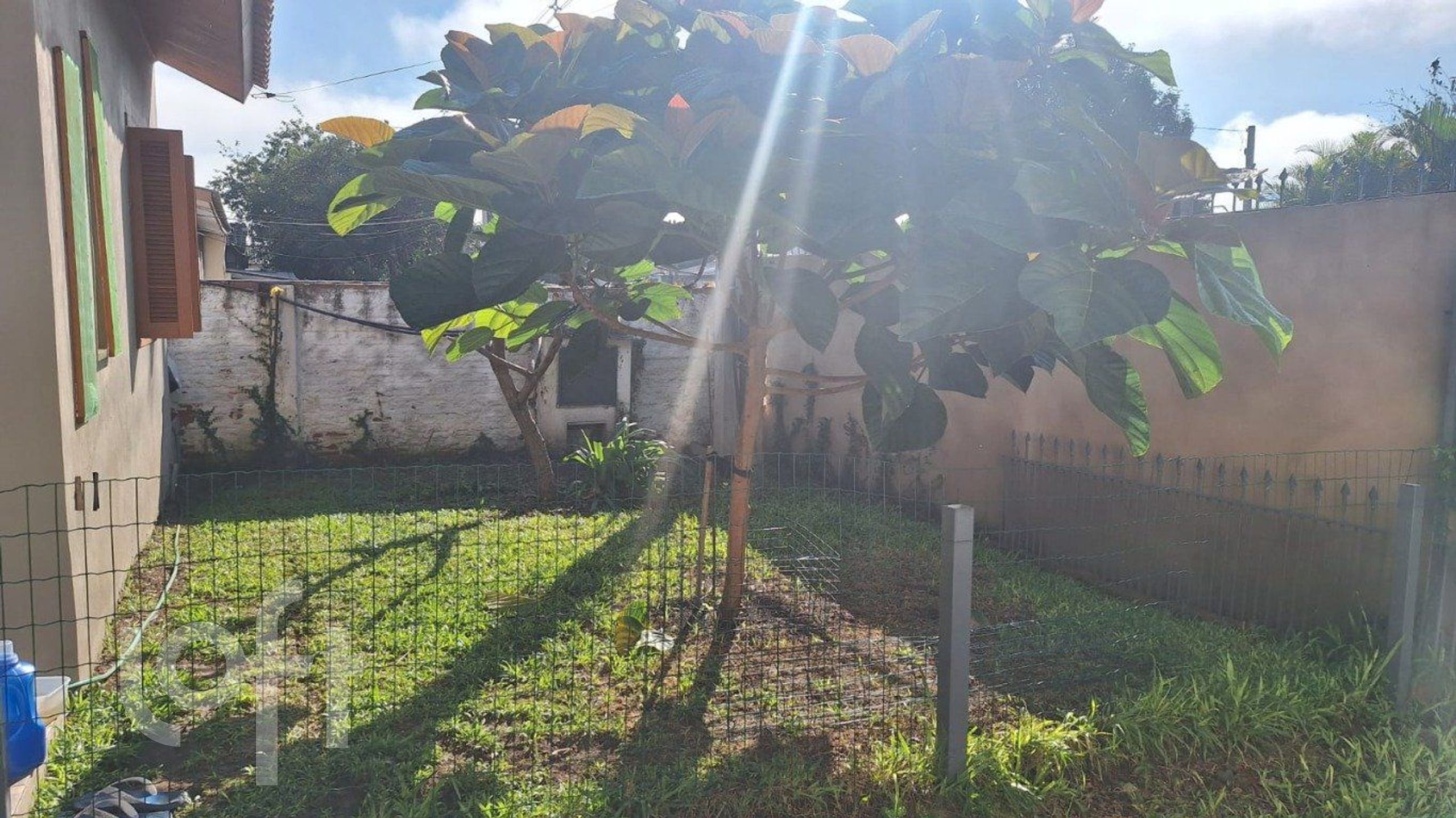 Imagem da propriedade 26