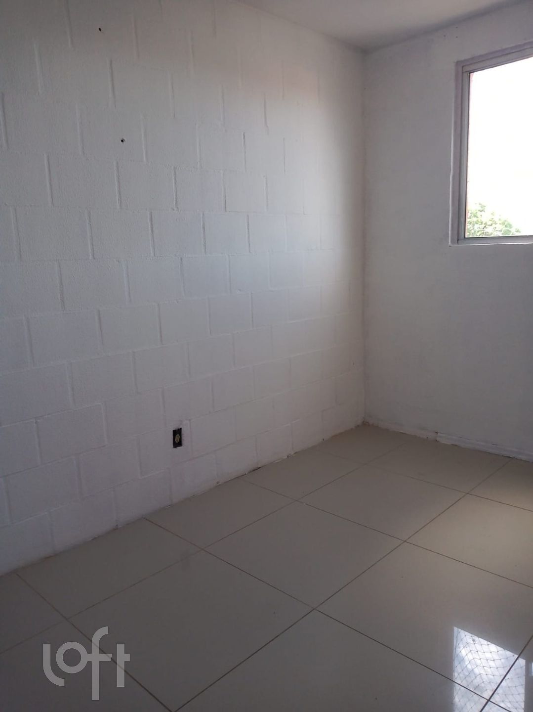Imagem da propriedade 10