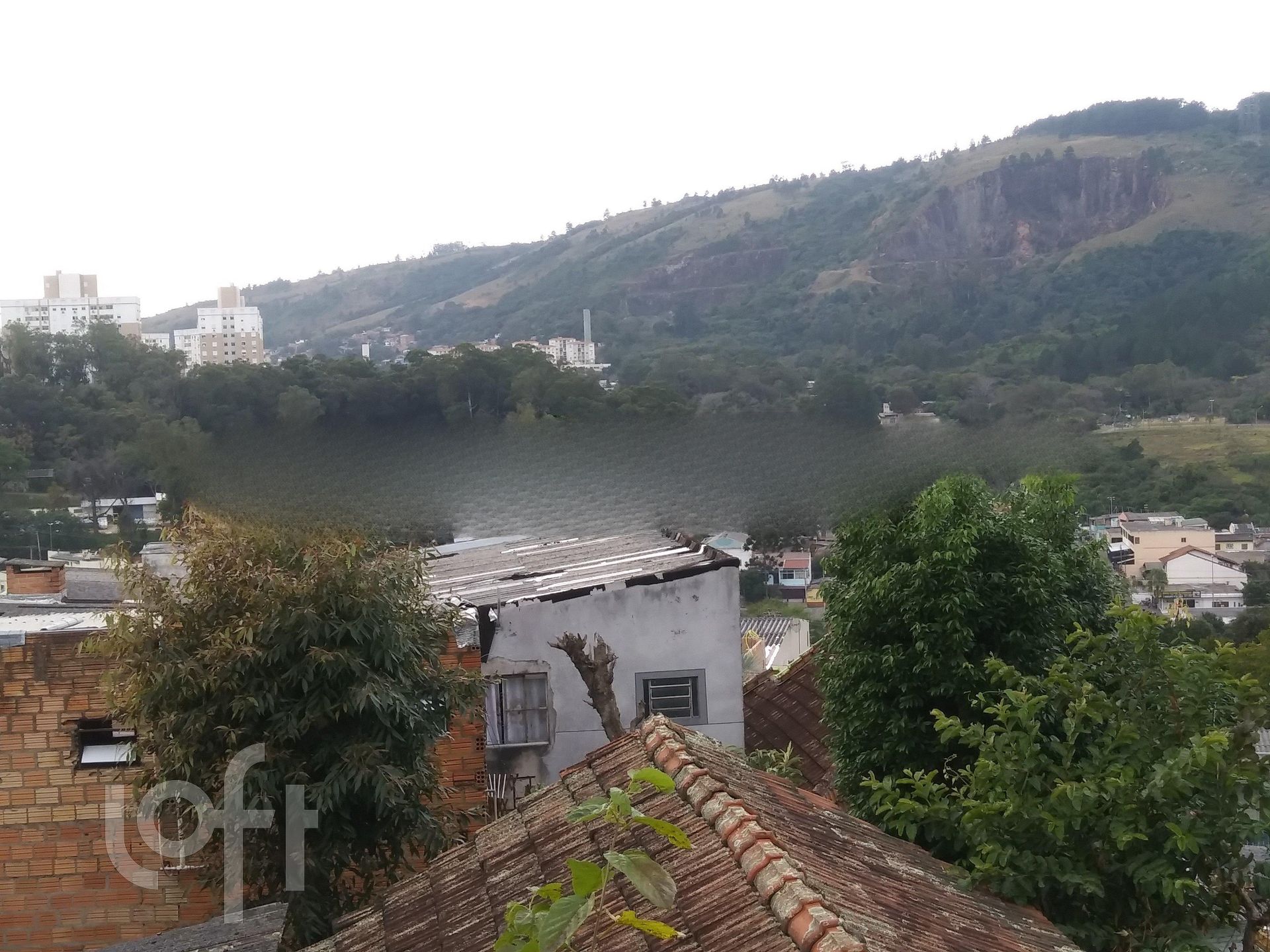 Imagem da propriedade 23