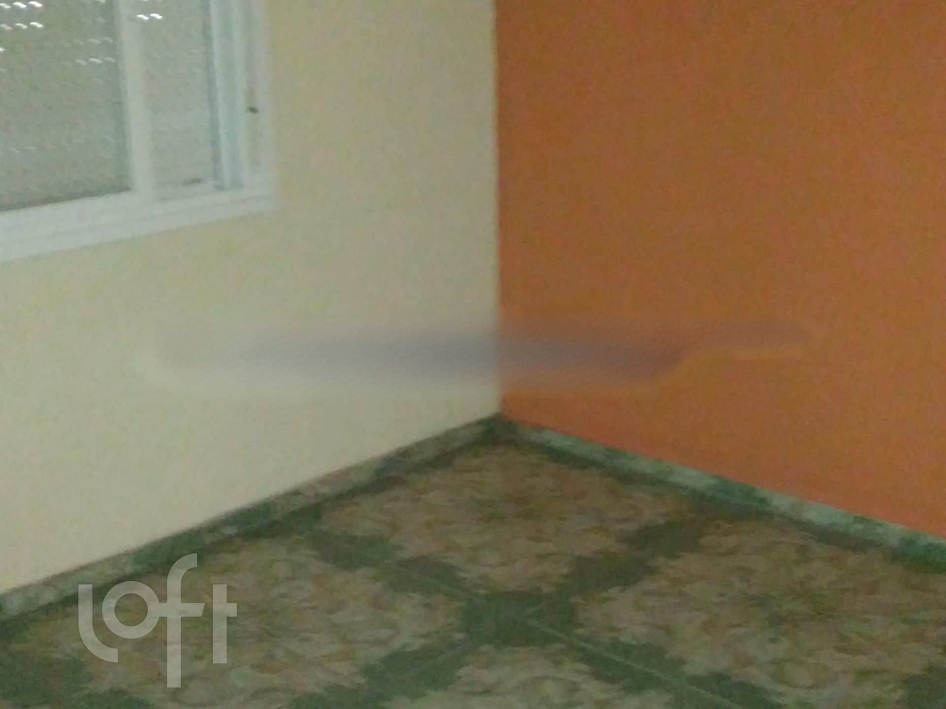 Imagem da propriedade 6