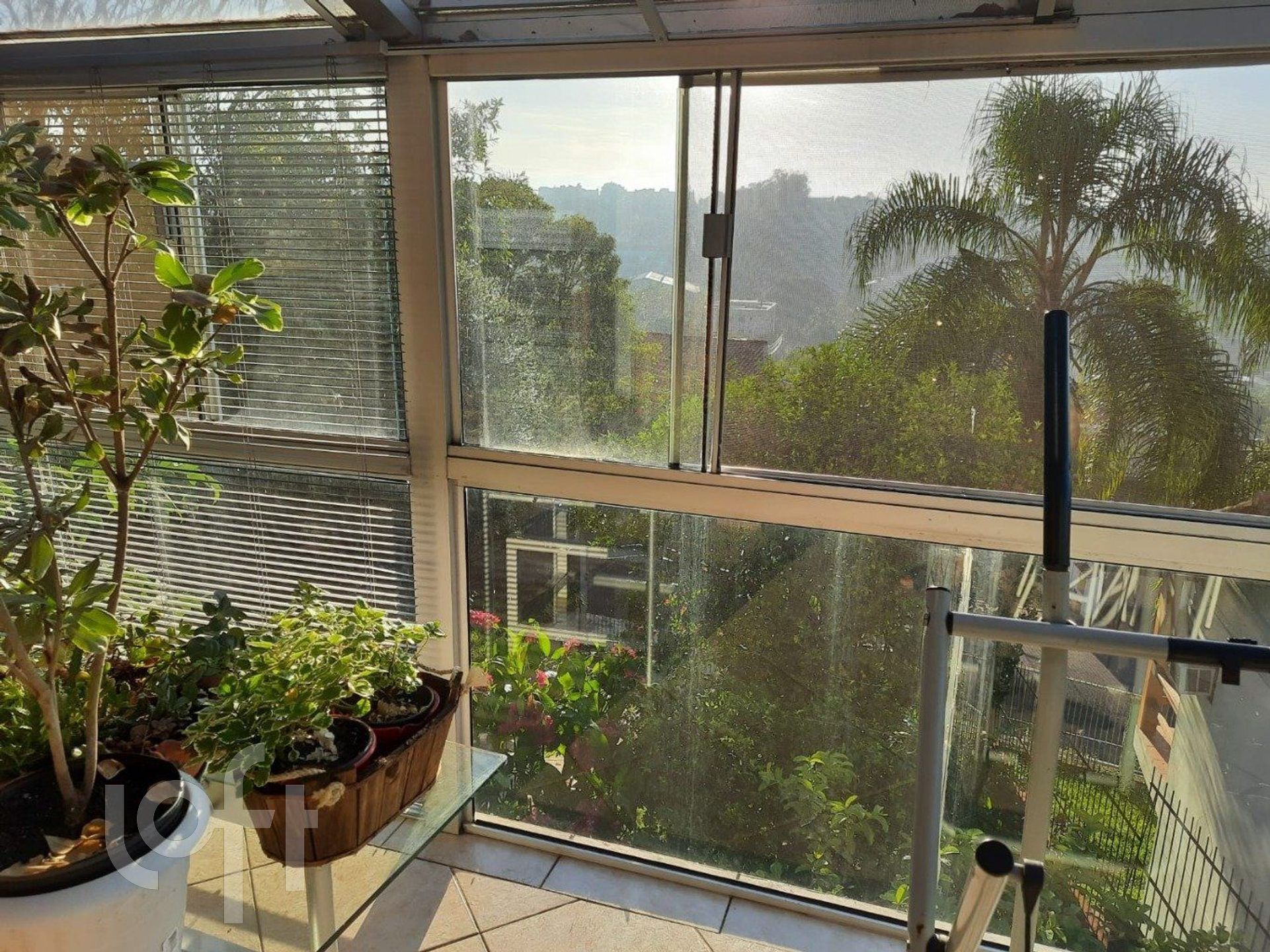 Imagem da propriedade 5