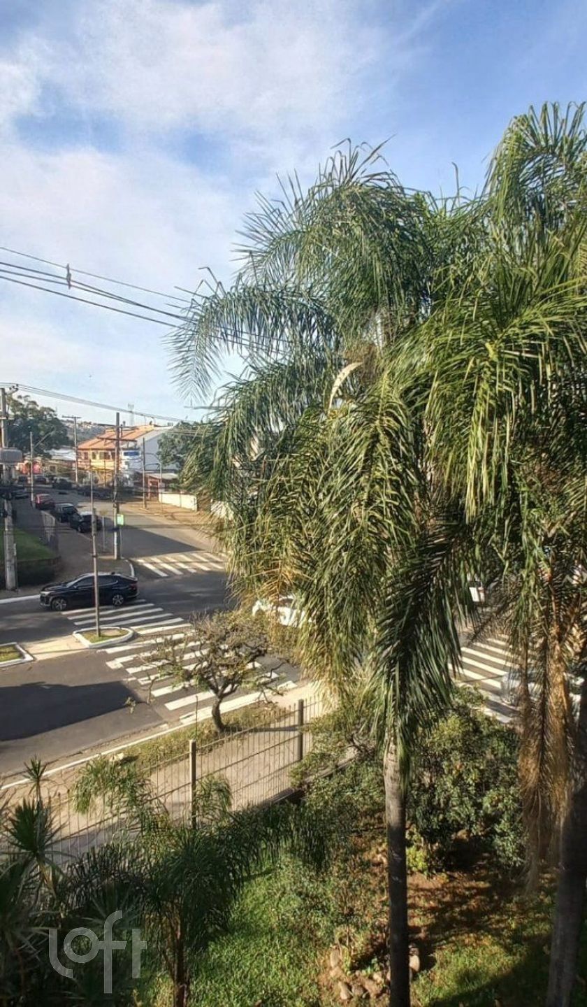 Imagem da propriedade 25